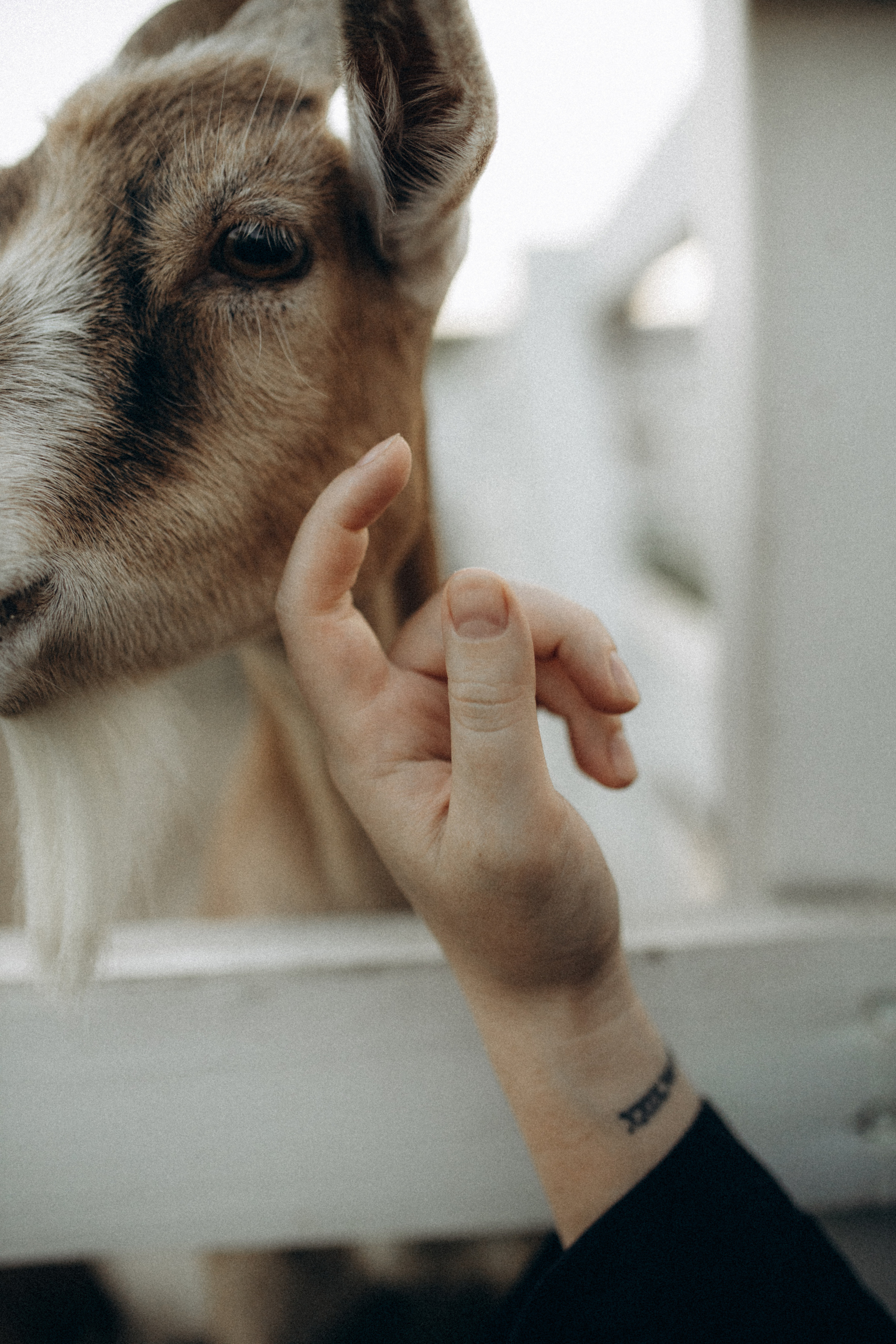 Серёжа, Настя, Антон. Фотограф НОГИНСК, Москва, Анастасия Белая