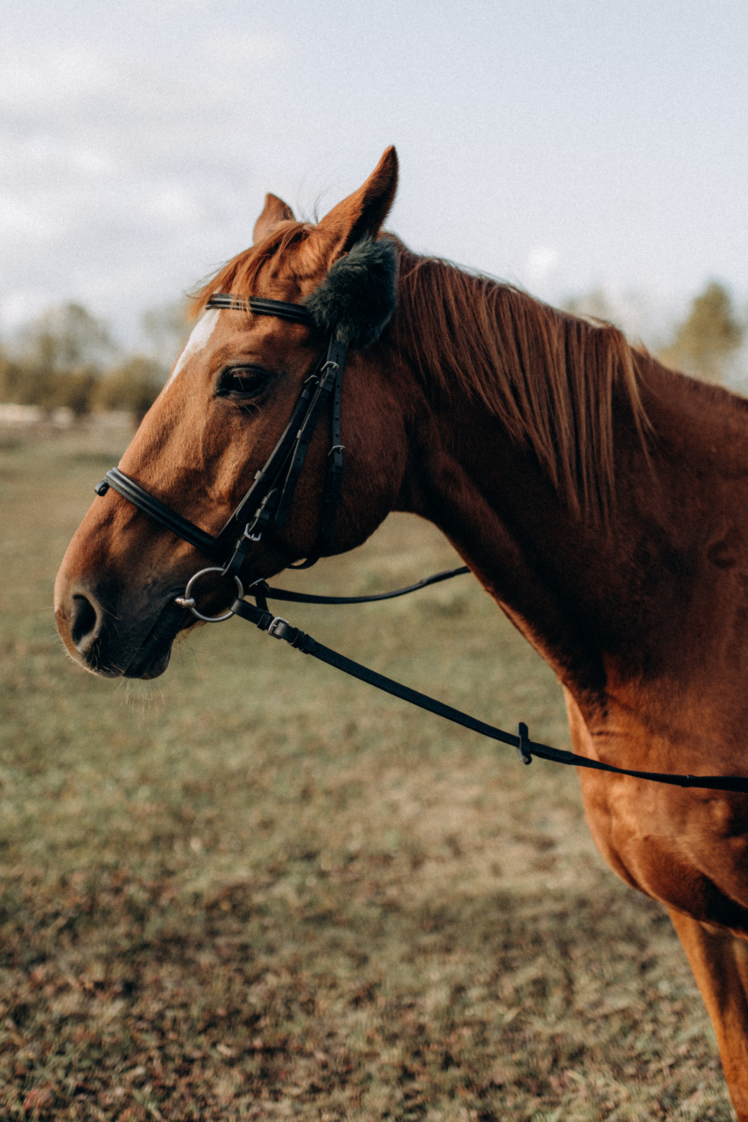 Эля. Фотограф НОГИНСК, Москва, Анастасия Белая
