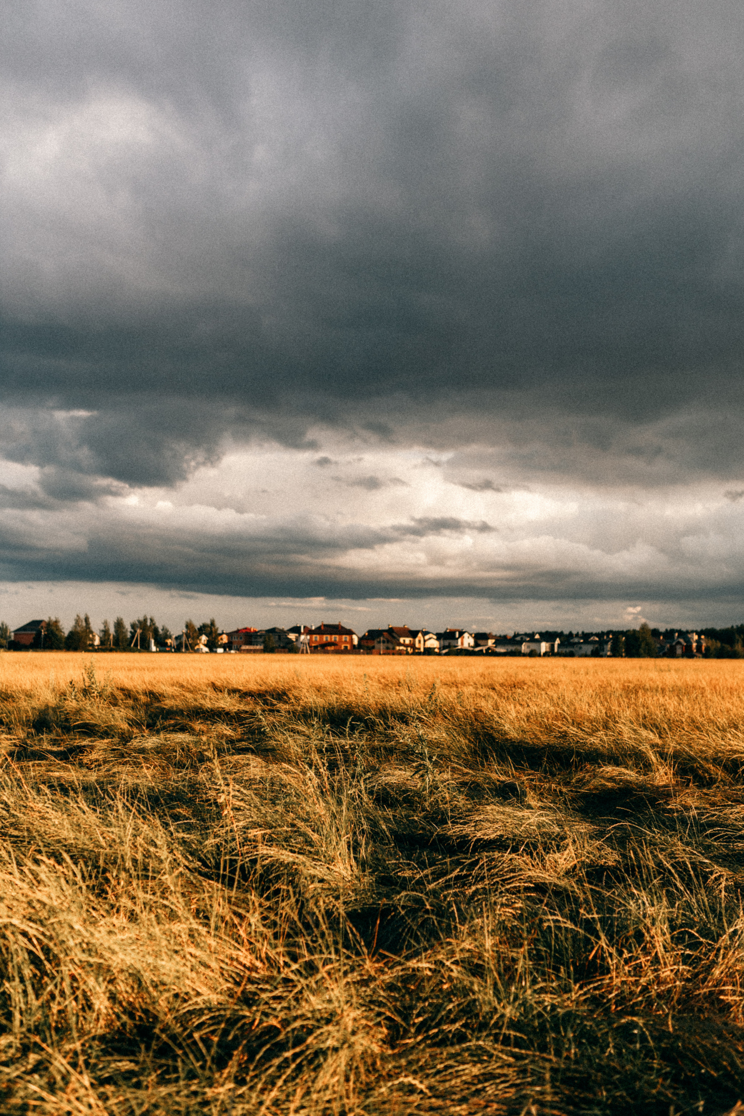 Ева, Милана, Марина, Саша,. Фотограф НОГИНСК, Москва, Анастасия Белая