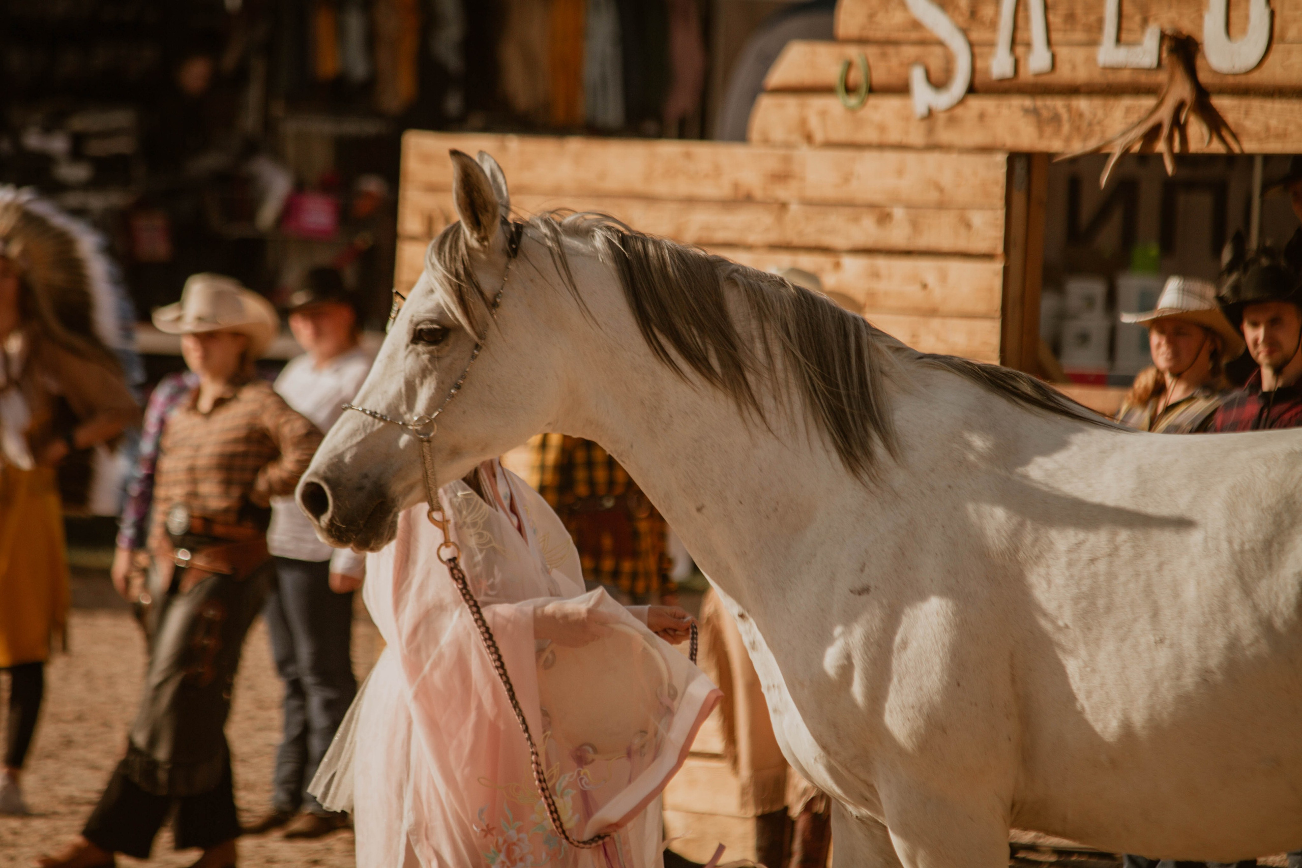ИППОСФЕРА — Международная конная выставка. Создадим шедевр? Виталина и её фотоискусство