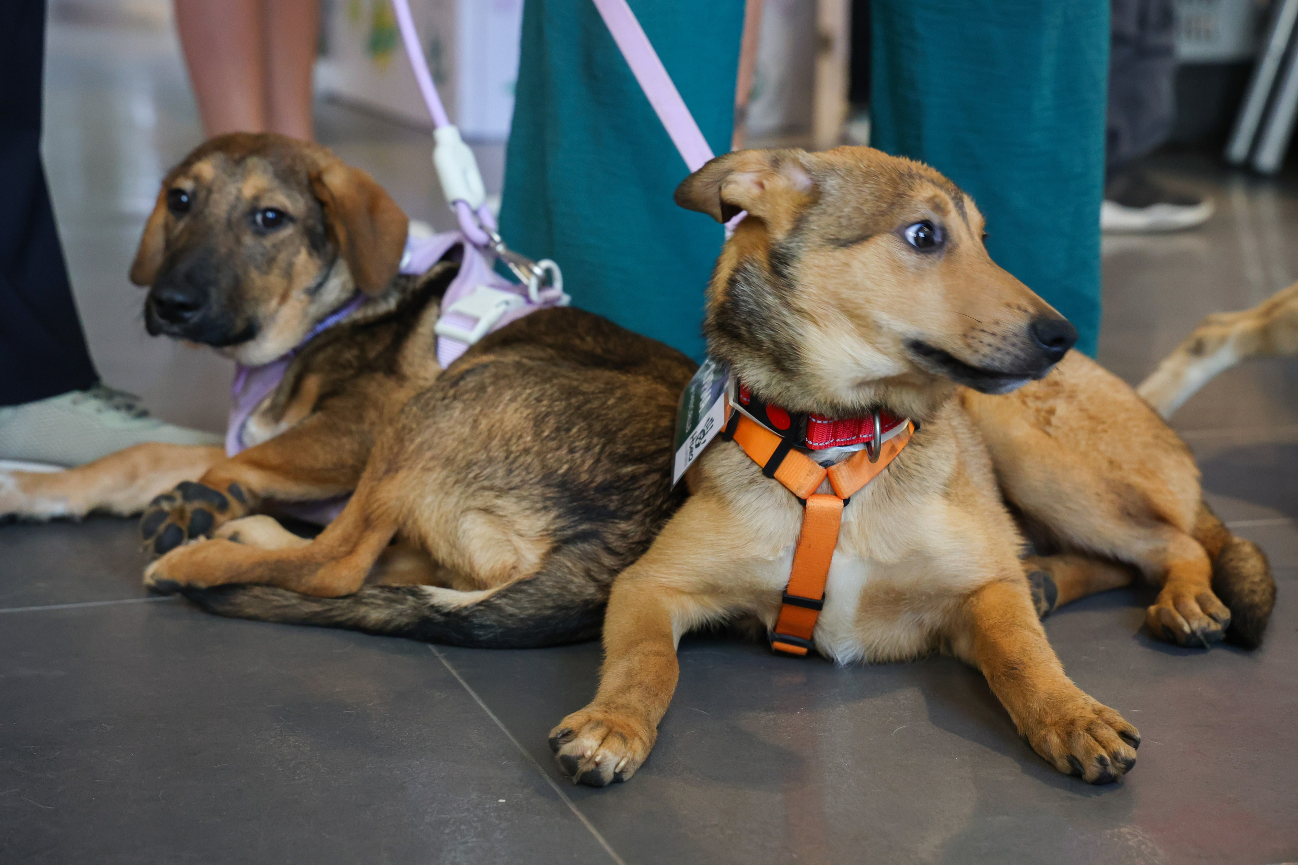 ECO FEST. Фотограф Вадим Бодылев