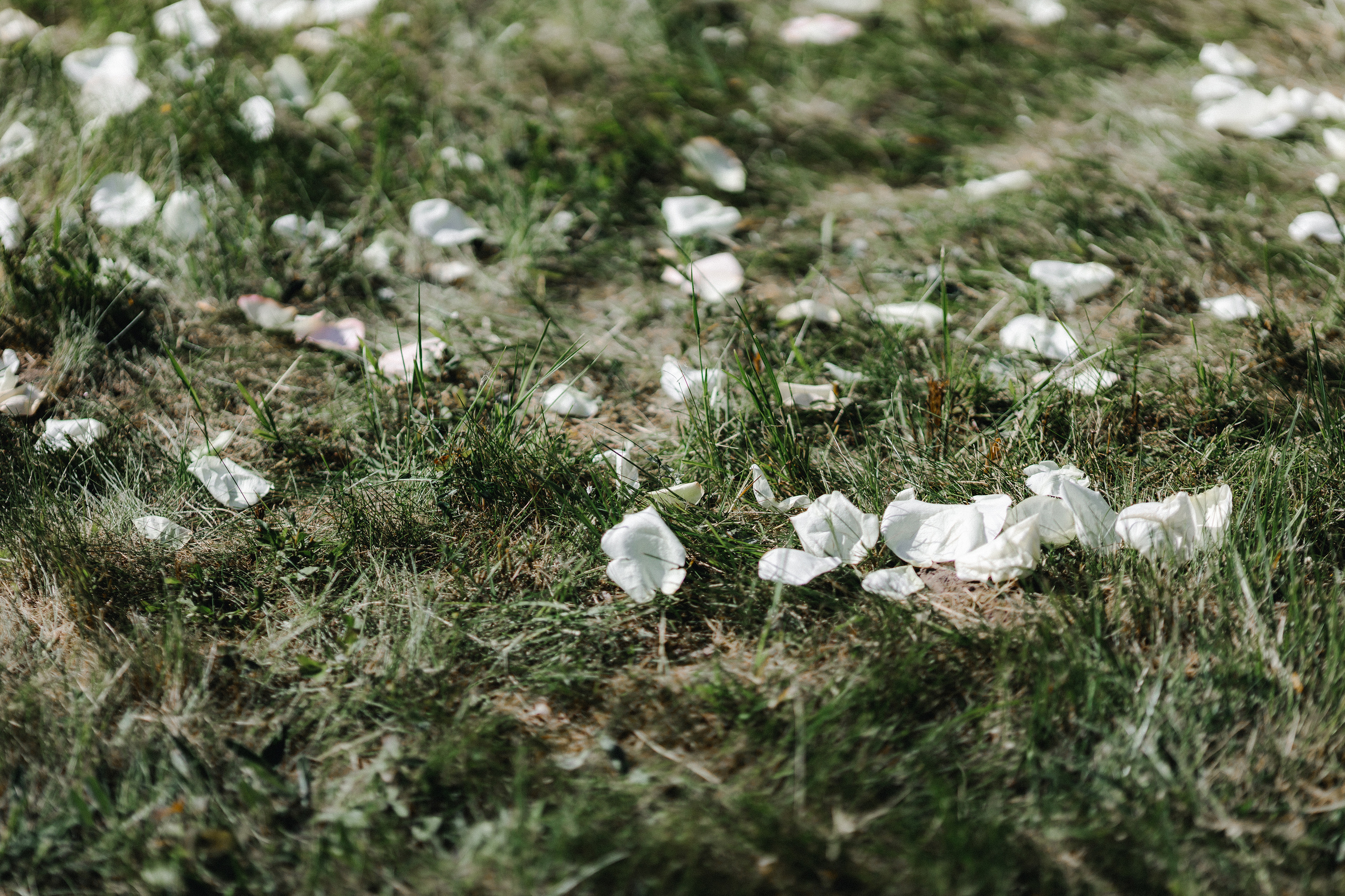 Александра и Сергей (МОСКВА-ТВЕРЬ). Свадебный и семейный фотограф Семиколенов Андрей