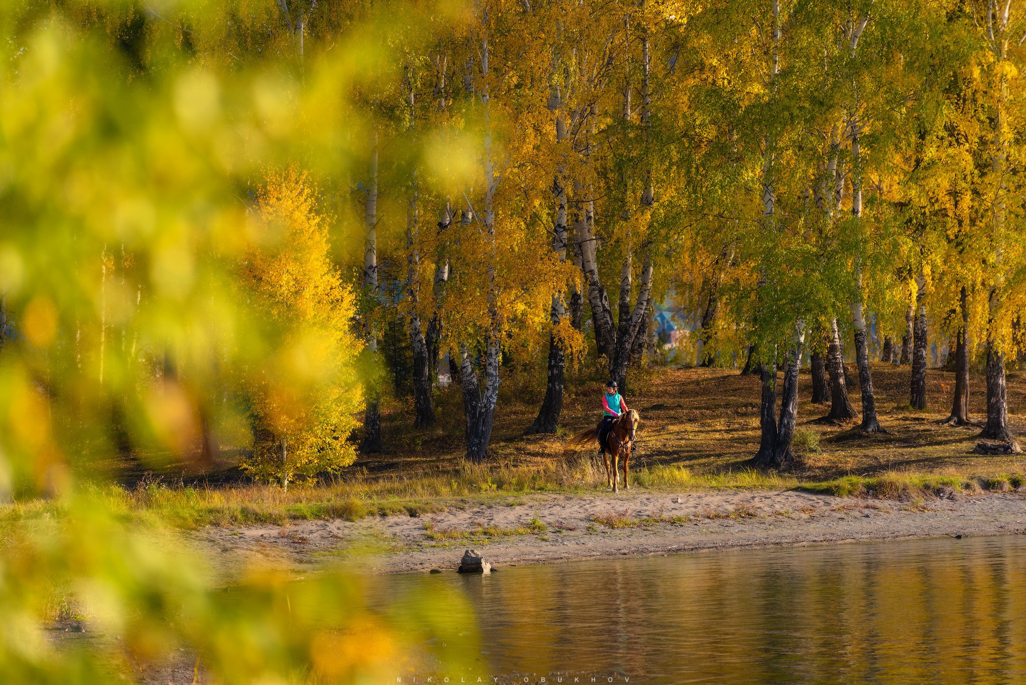 Фотосессия с конем в Черноисточинске.