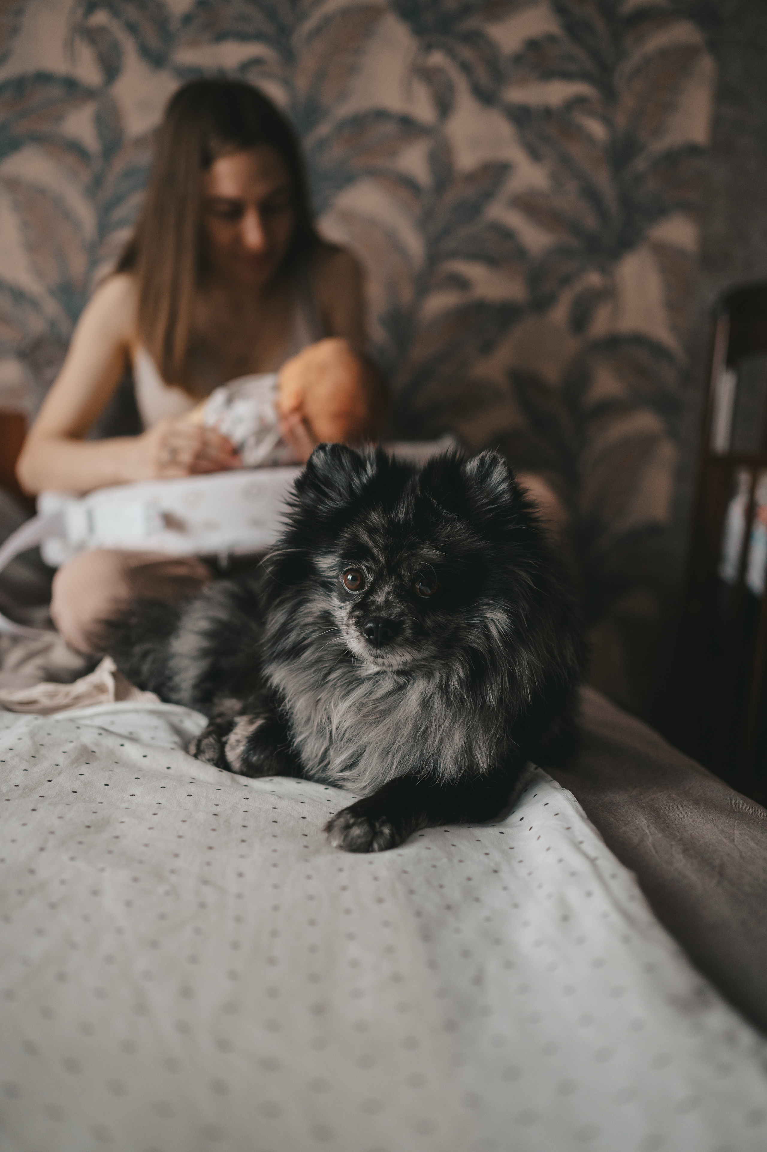Малышка первые дни дома. Семейный Фотограф Новосибирск, Школьные фотосессии Новосибирск, школьный фотограф Новосибирск, выпускные альбомы