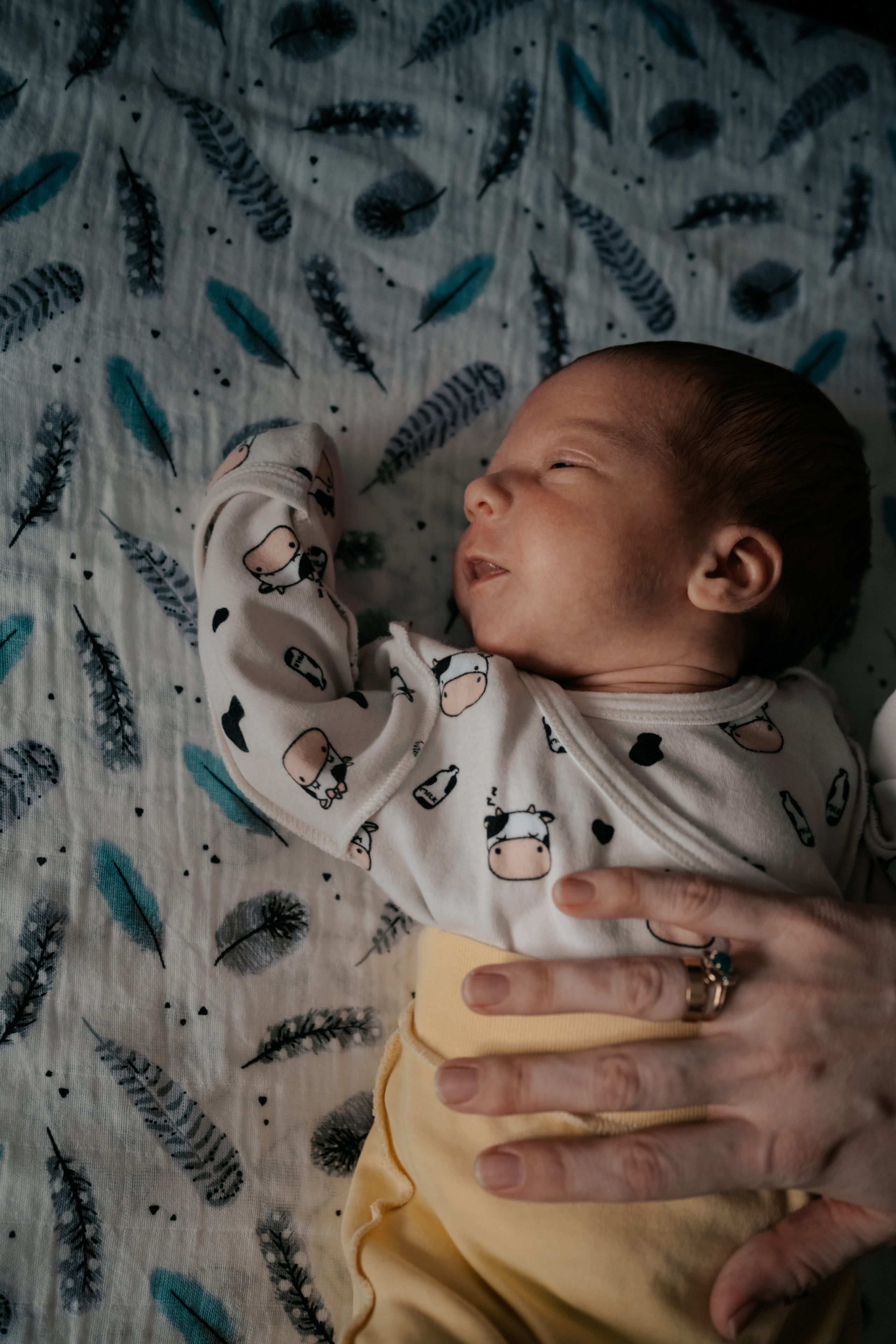 Малышка первые дни дома. Семейный Фотограф Новосибирск, Школьные фотосессии Новосибирск, школьный фотограф Новосибирск, выпускные альбомы