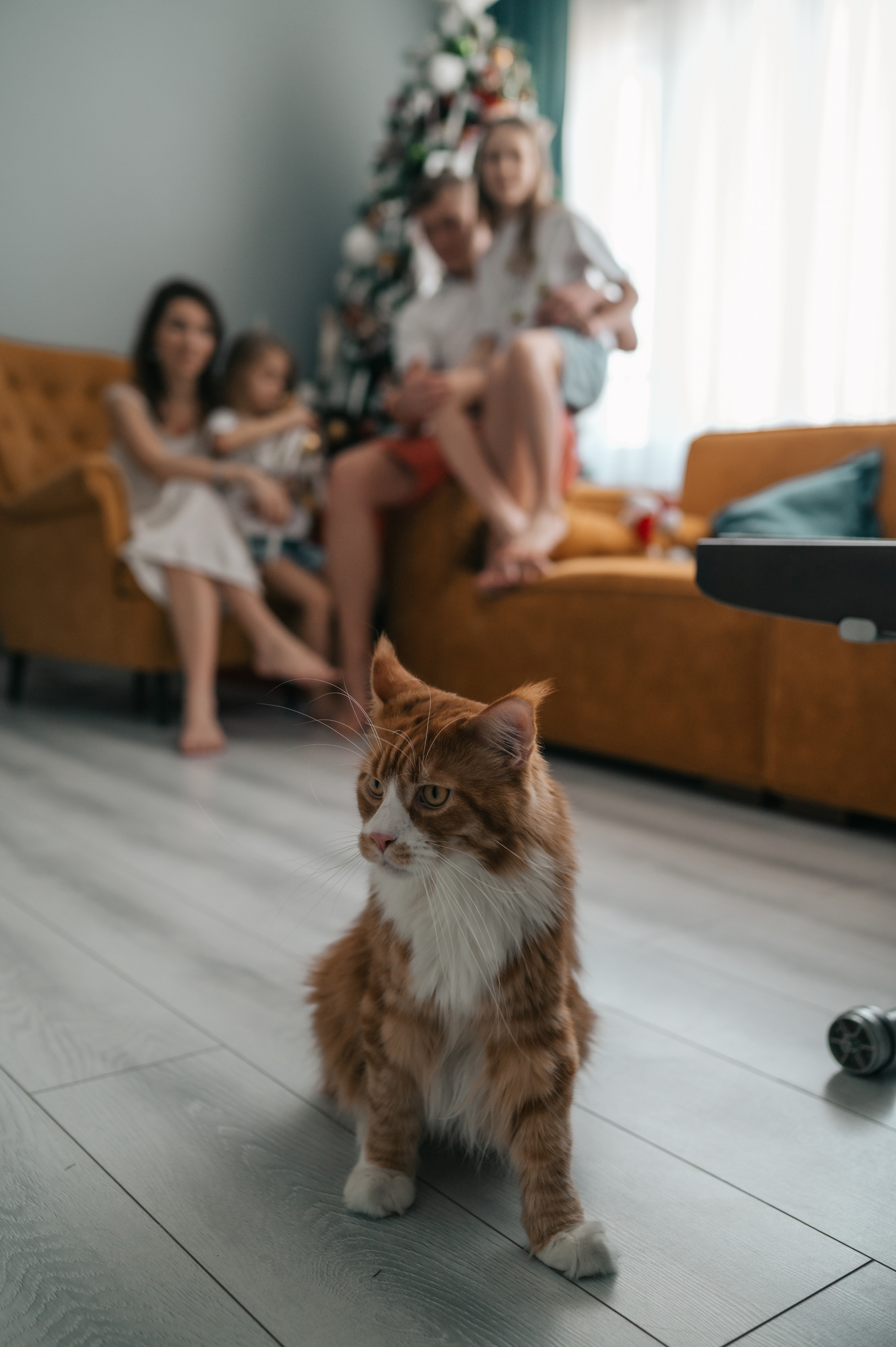 Игры перед Рождеством. Семейный Фотограф Новосибирск, Школьные фотосессии Новосибирск, школьный фотограф Новосибирск, выпускные альбомы