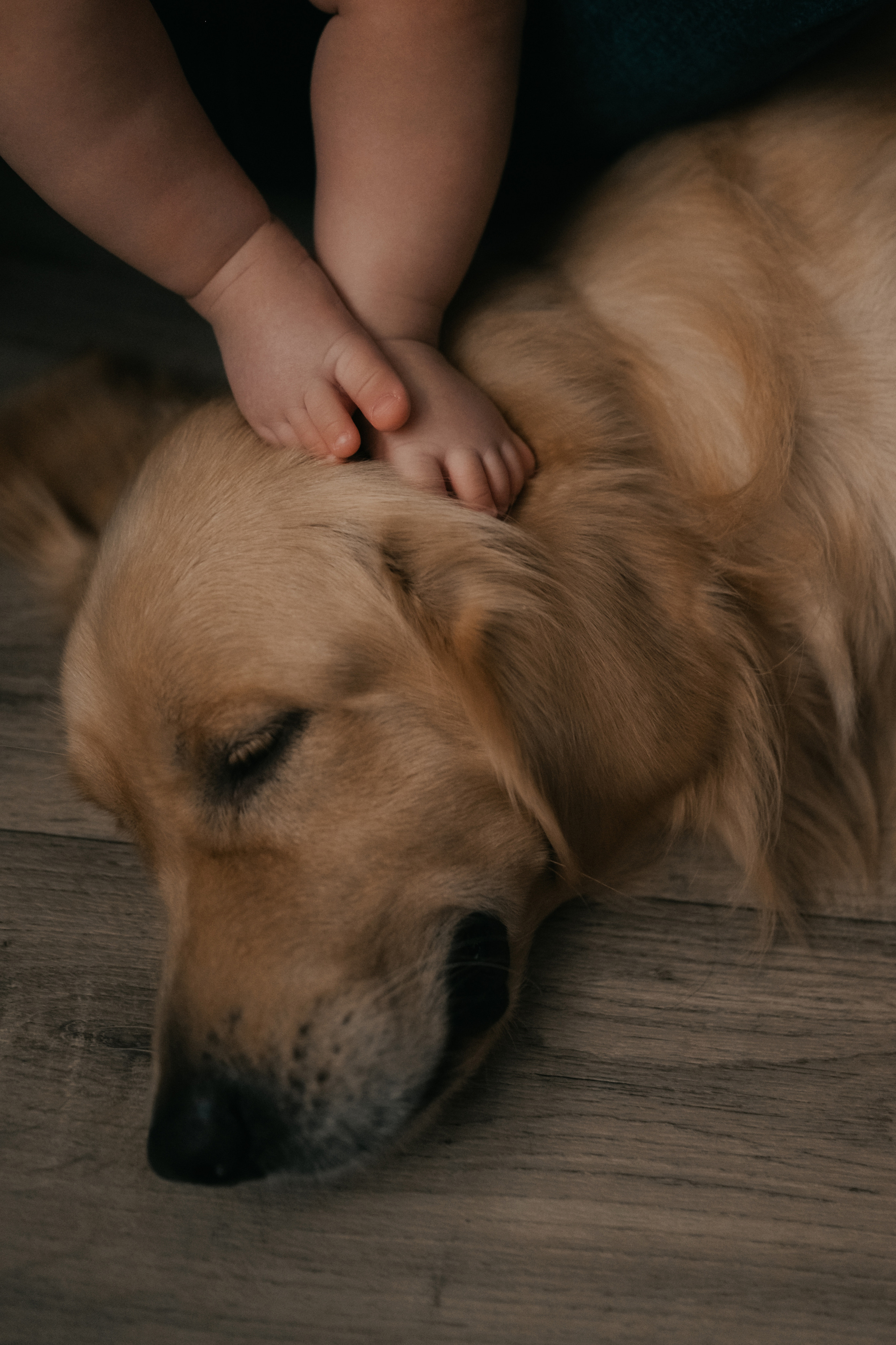 В маленькой квартире. Семейный Фотограф Новосибирск, Школьные фотосессии Новосибирск, школьный фотограф Новосибирск, выпускные альбомы