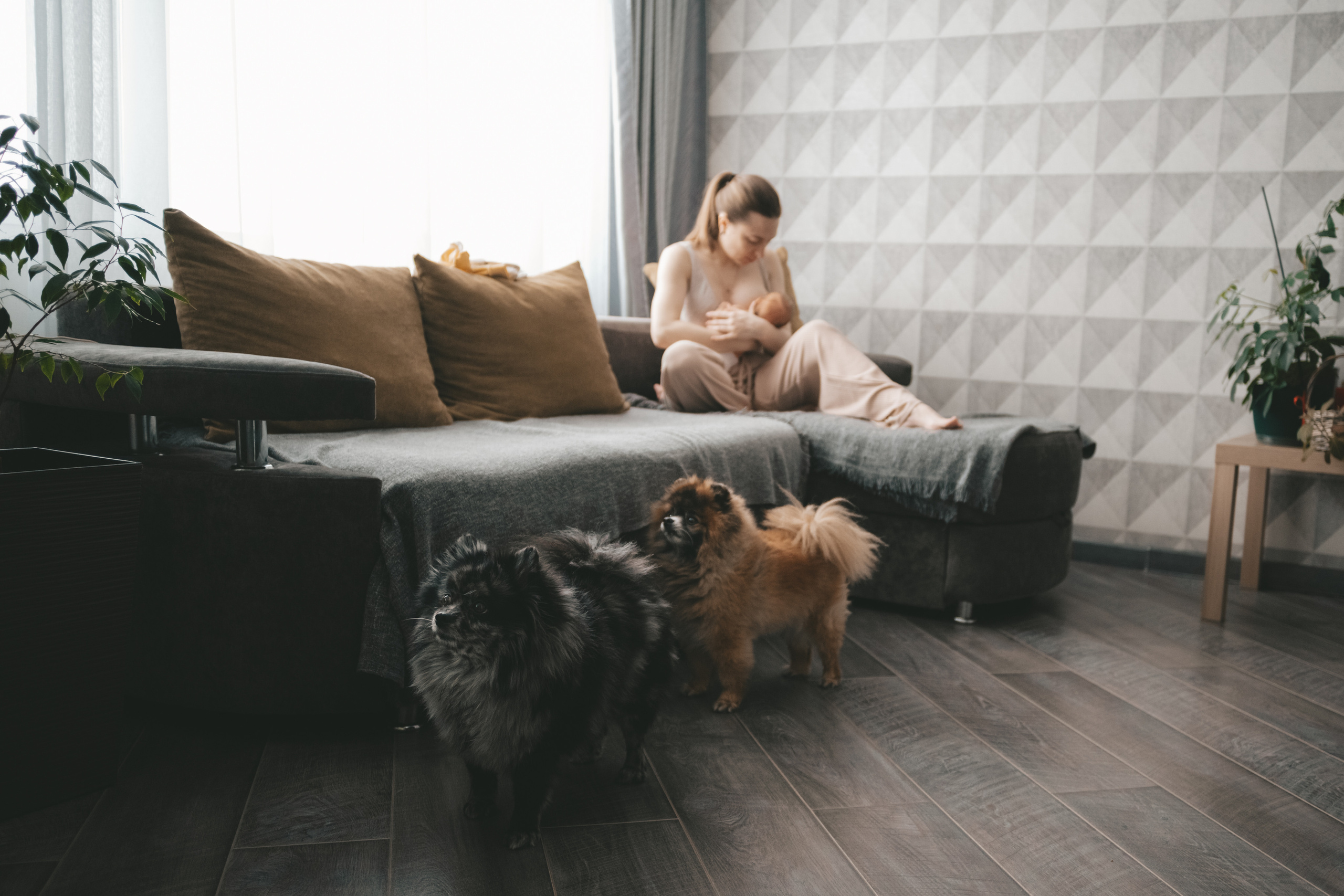 Малышка первые дни дома. Семейный Фотограф Новосибирск, Школьные фотосессии Новосибирск, школьный фотограф Новосибирск, выпускные альбомы