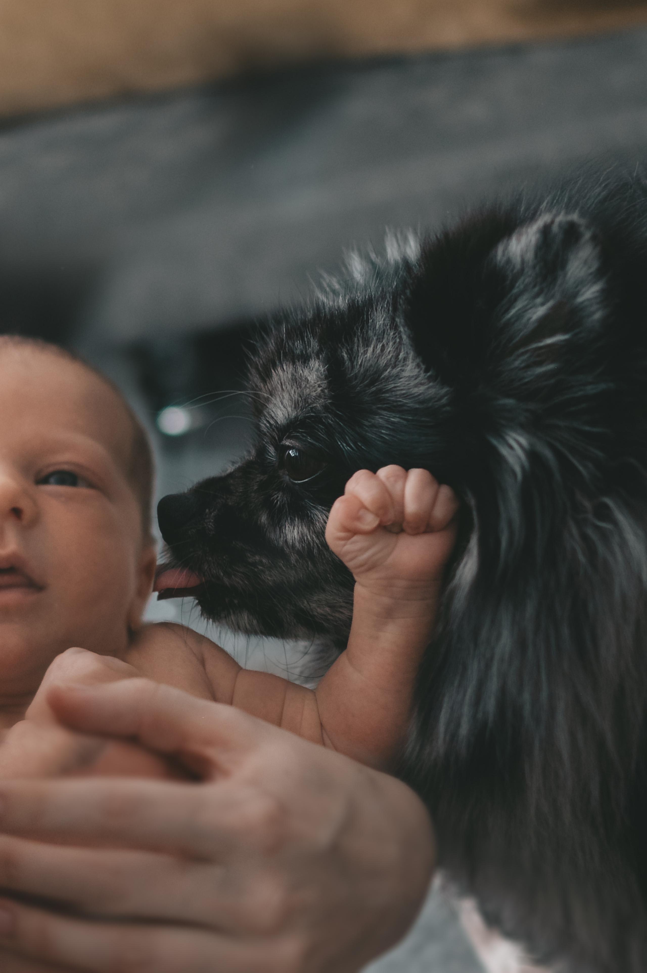 Малышка первые дни дома. Семейный Фотограф Новосибирск, Школьные фотосессии Новосибирск, школьный фотограф Новосибирск, выпускные альбомы