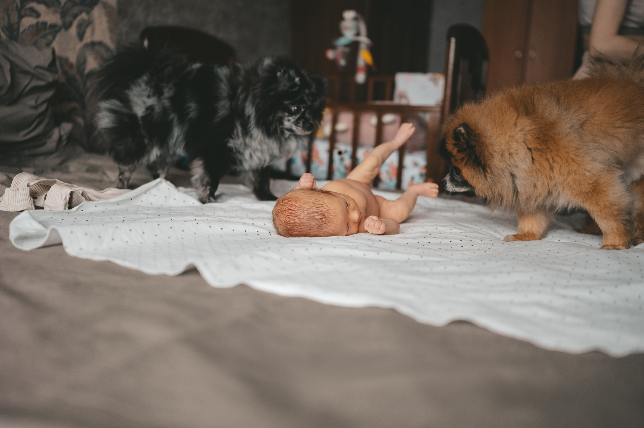 Малышка первые дни дома. Семейный Фотограф Новосибирск, Школьные фотосессии Новосибирск, школьный фотограф Новосибирск, выпускные альбомы