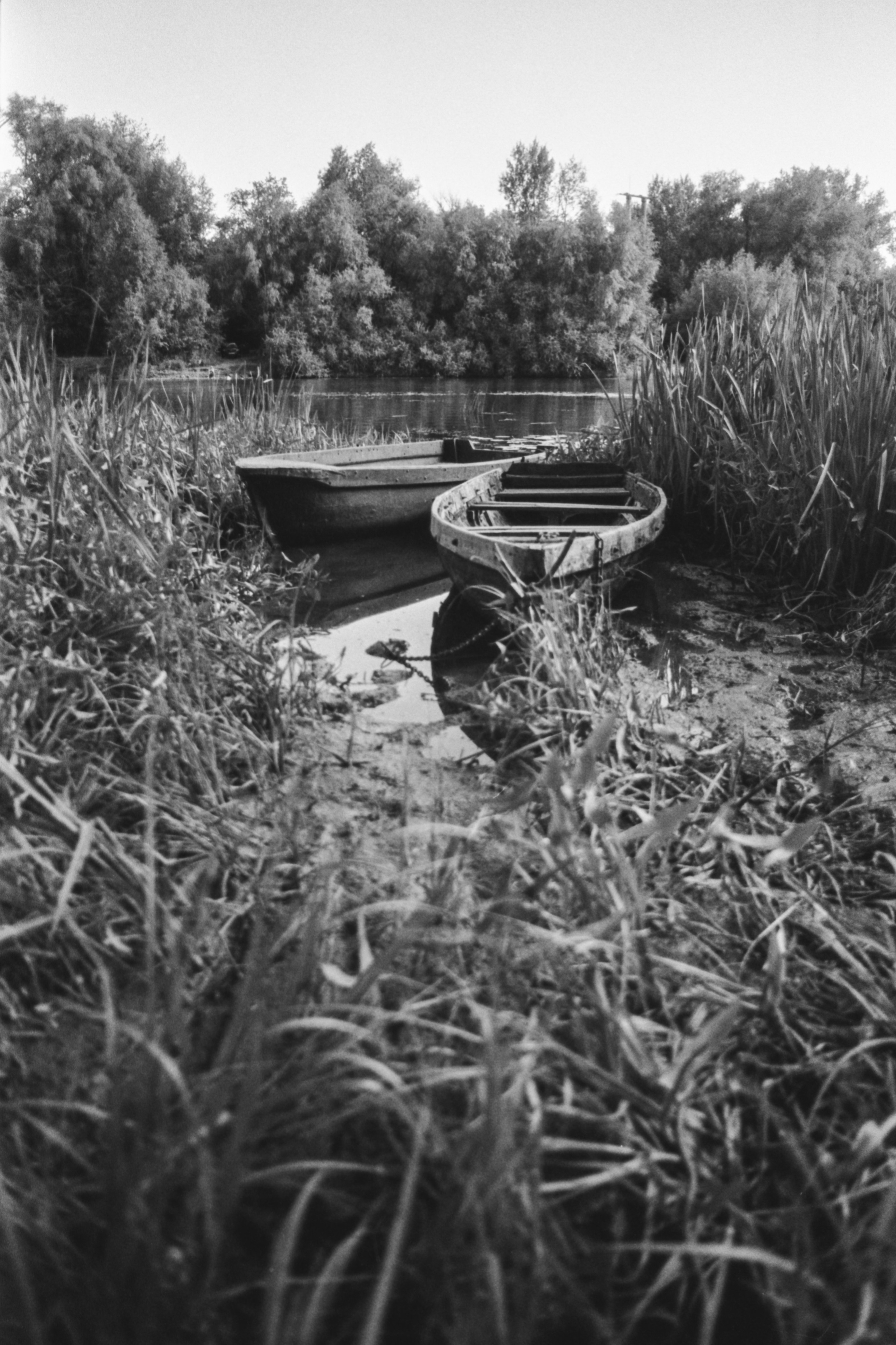 Пленочная история. Дмитрий Пропадалин, Нейрофотография