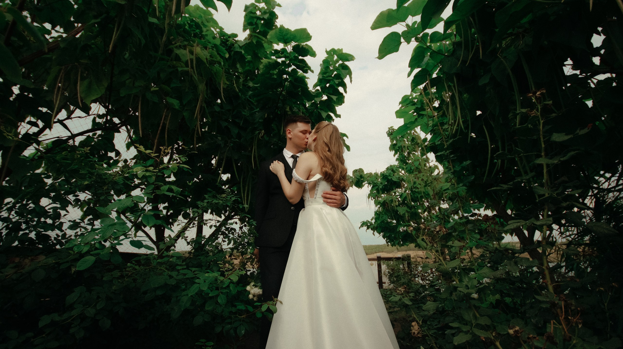 Торжество в Алексеевке. Свадебный и репортажный фотограф Дмитрий Кононенко