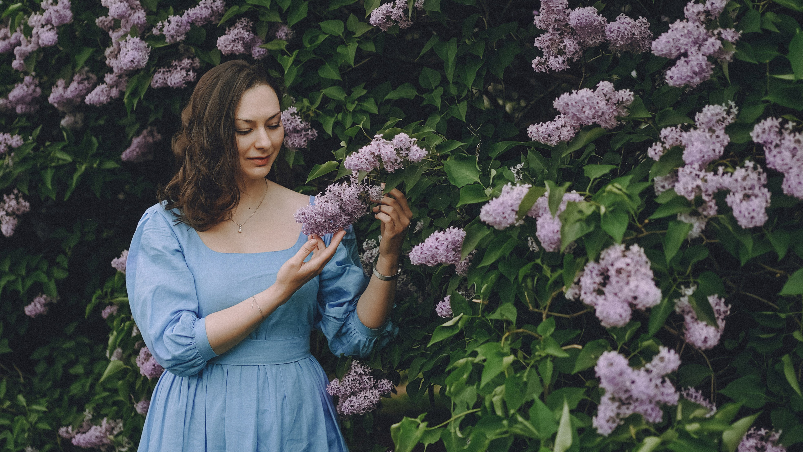 Сиреневый сон. Фотограф Наталья Колганова