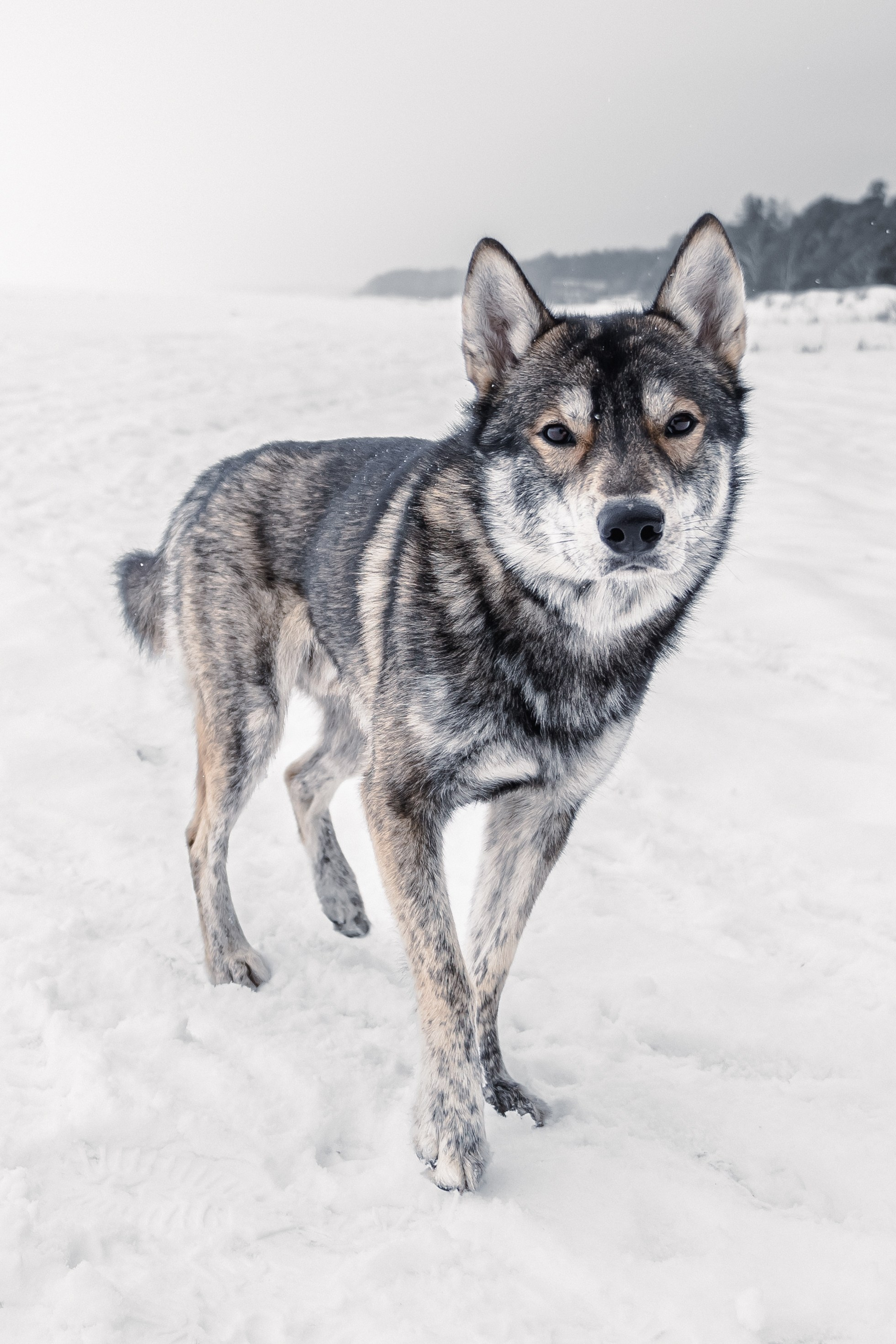Уличная съемка. Фотограф и оператор Илья Гунбин