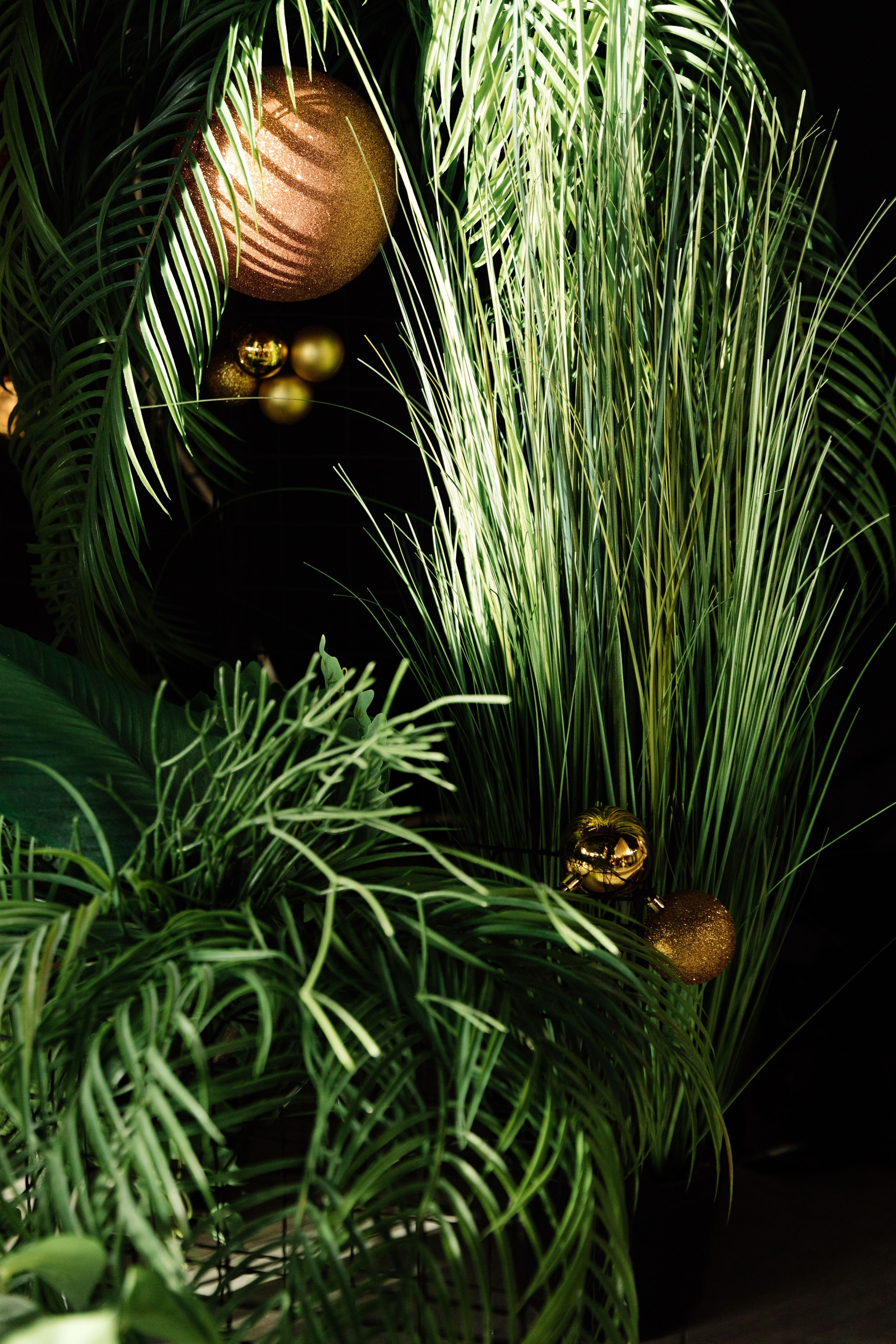 Шато Тамань. Свадебный и репортажный фотограф Новороссийск Краснодар Сочи Крым Данила Данилов