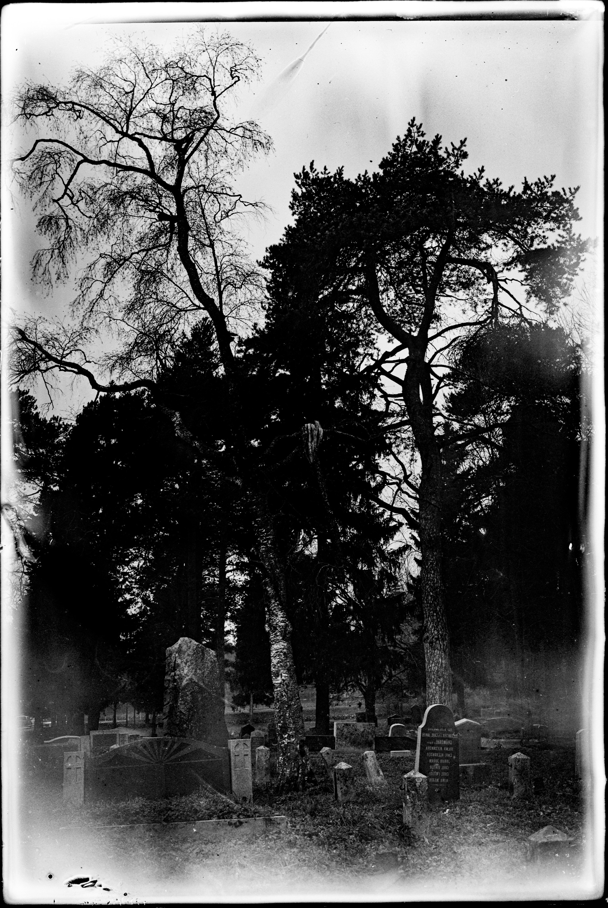 Glass plates. Darkroom aesthetics