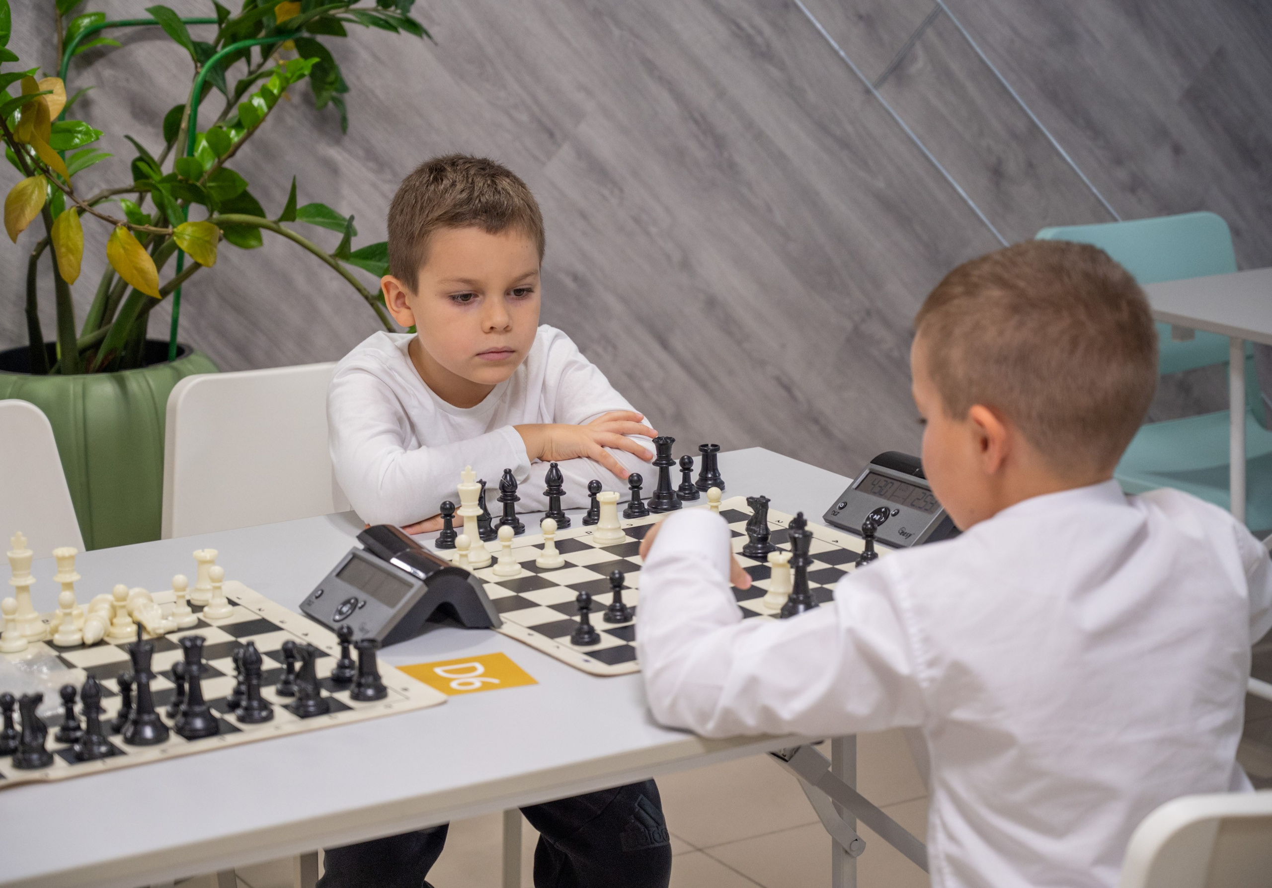 Турнир по быстрым шахматам «ОСЕННИЙ КУБОК"♟. Фотографирую счастливых людей в Сочи