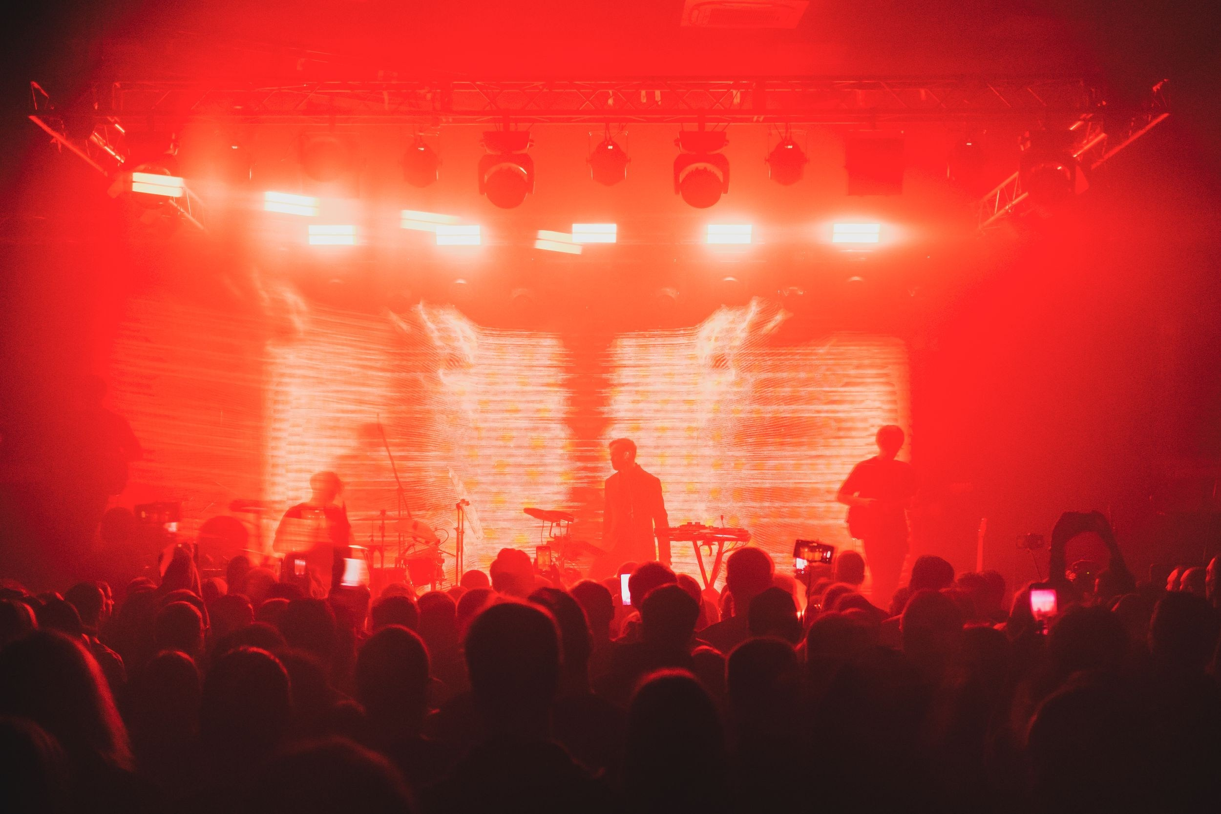 Дельфин. Репортажный фотограф Алексей Пирязев