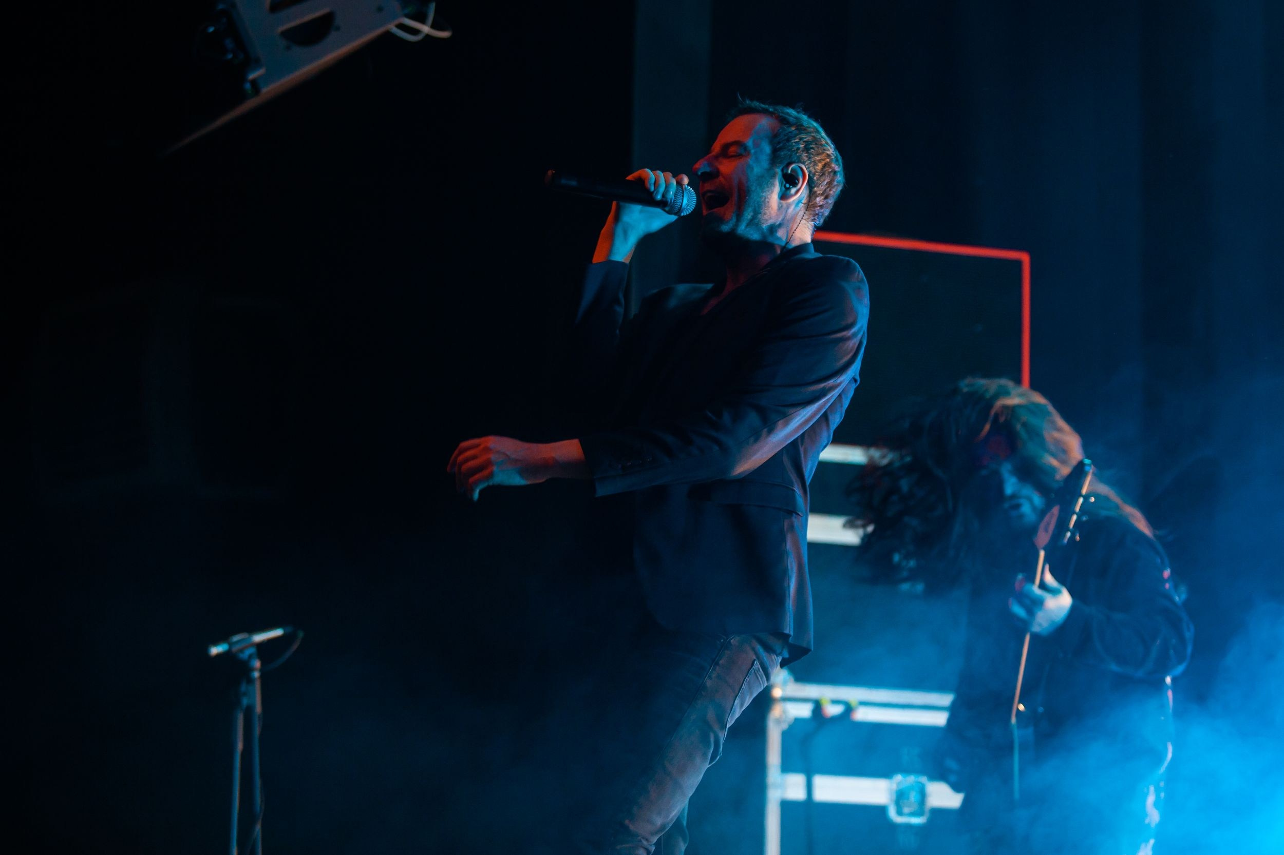 Animal ДжаZ. Репортажный фотограф Алексей Пирязев