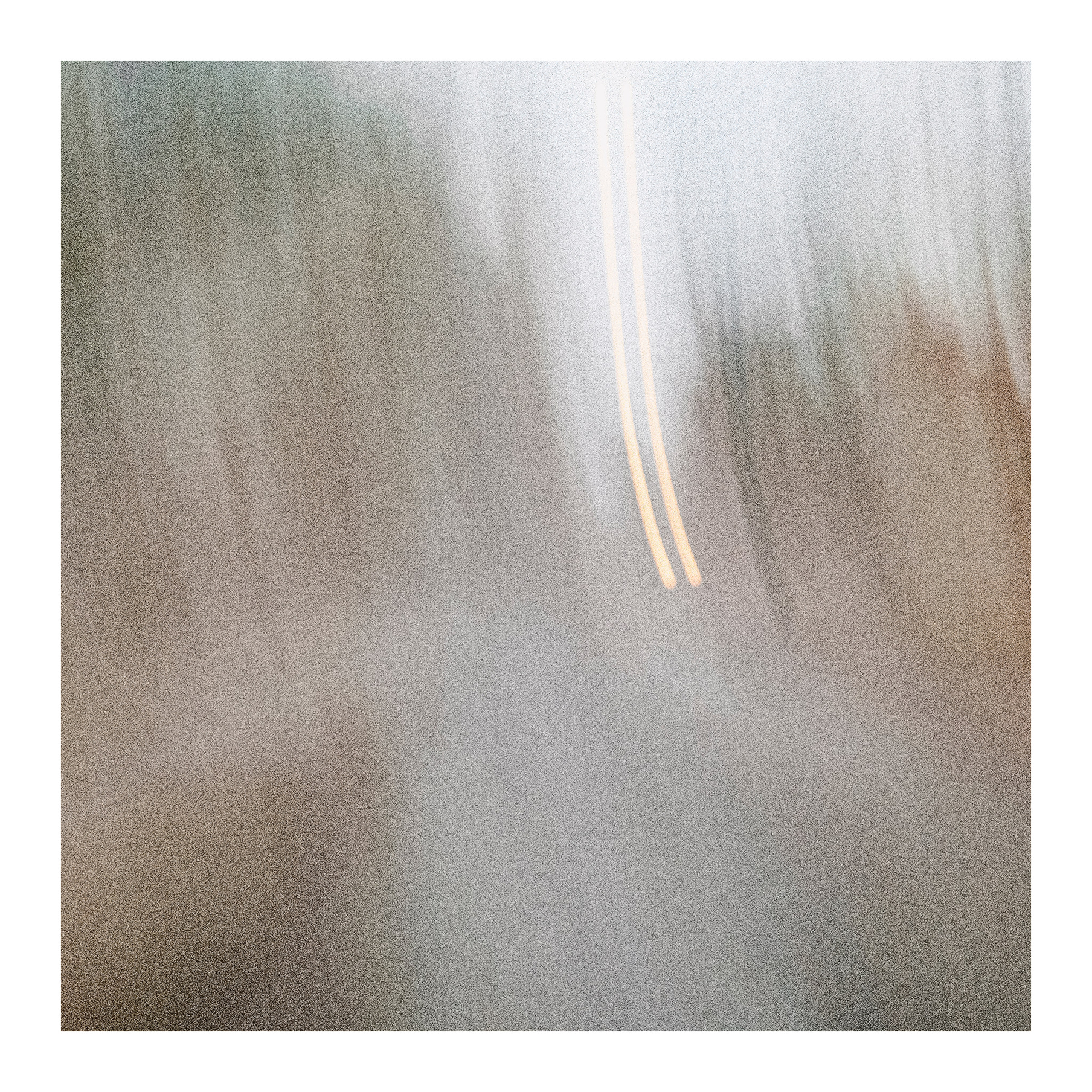 Парк. Портретный и арт-фотограф в Санкт-Петербурге и Выборге Олег Борцов