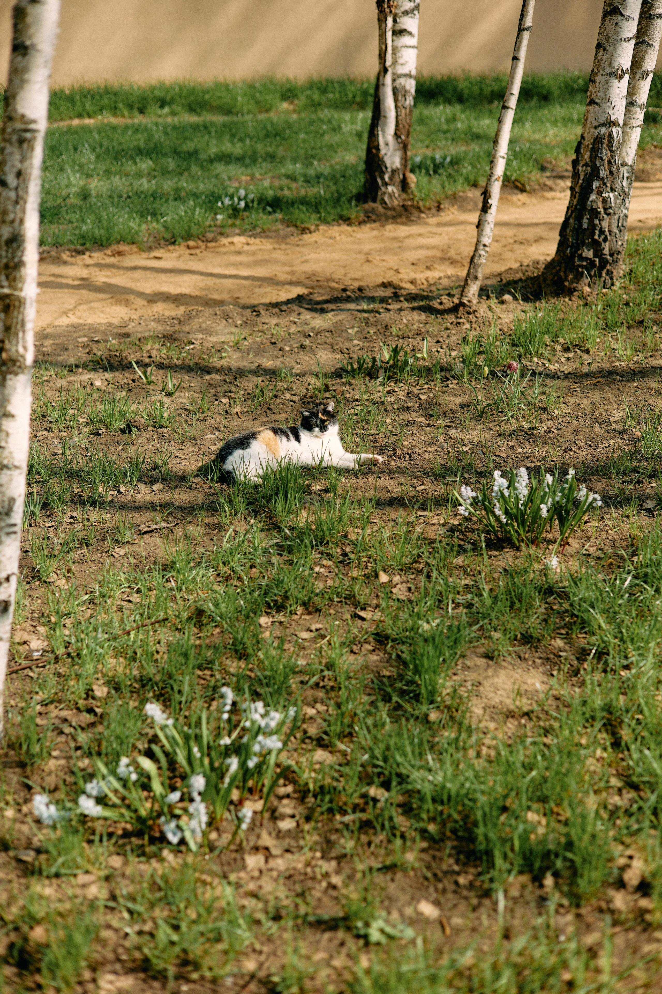 Бутик-отель Поле летом. Профессиональный Фотограф во Владимире, в Москве и в Суздале — Полина Романычева