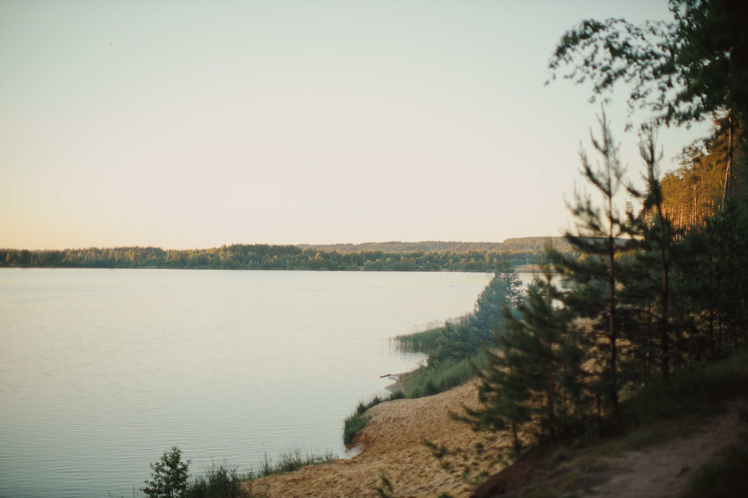 Настя. Прогулка в лесу. Свадебный и семейный фотограф Ольга Сморжанюк