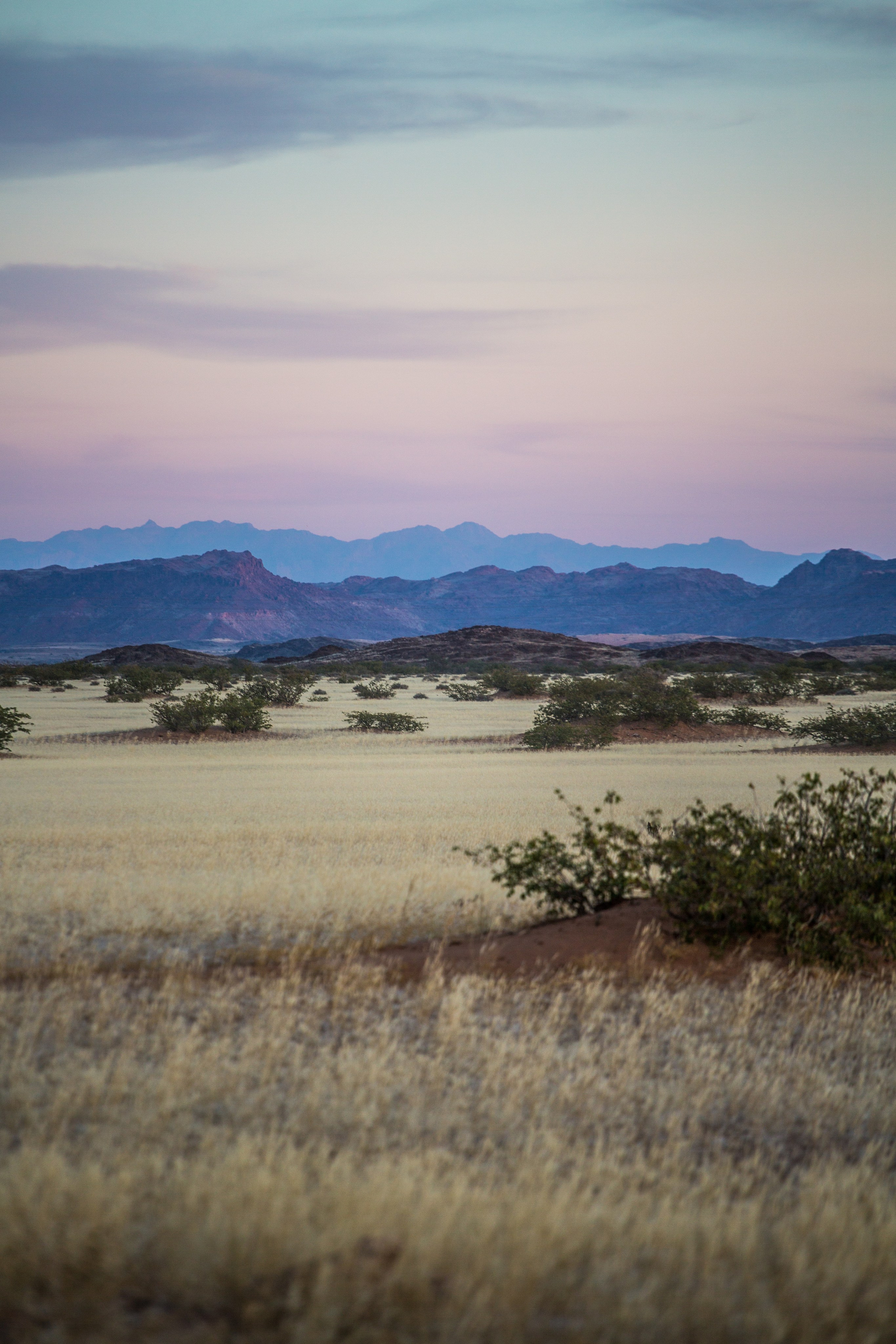 ЮАР. Добродеева Алла фотограф, Москва