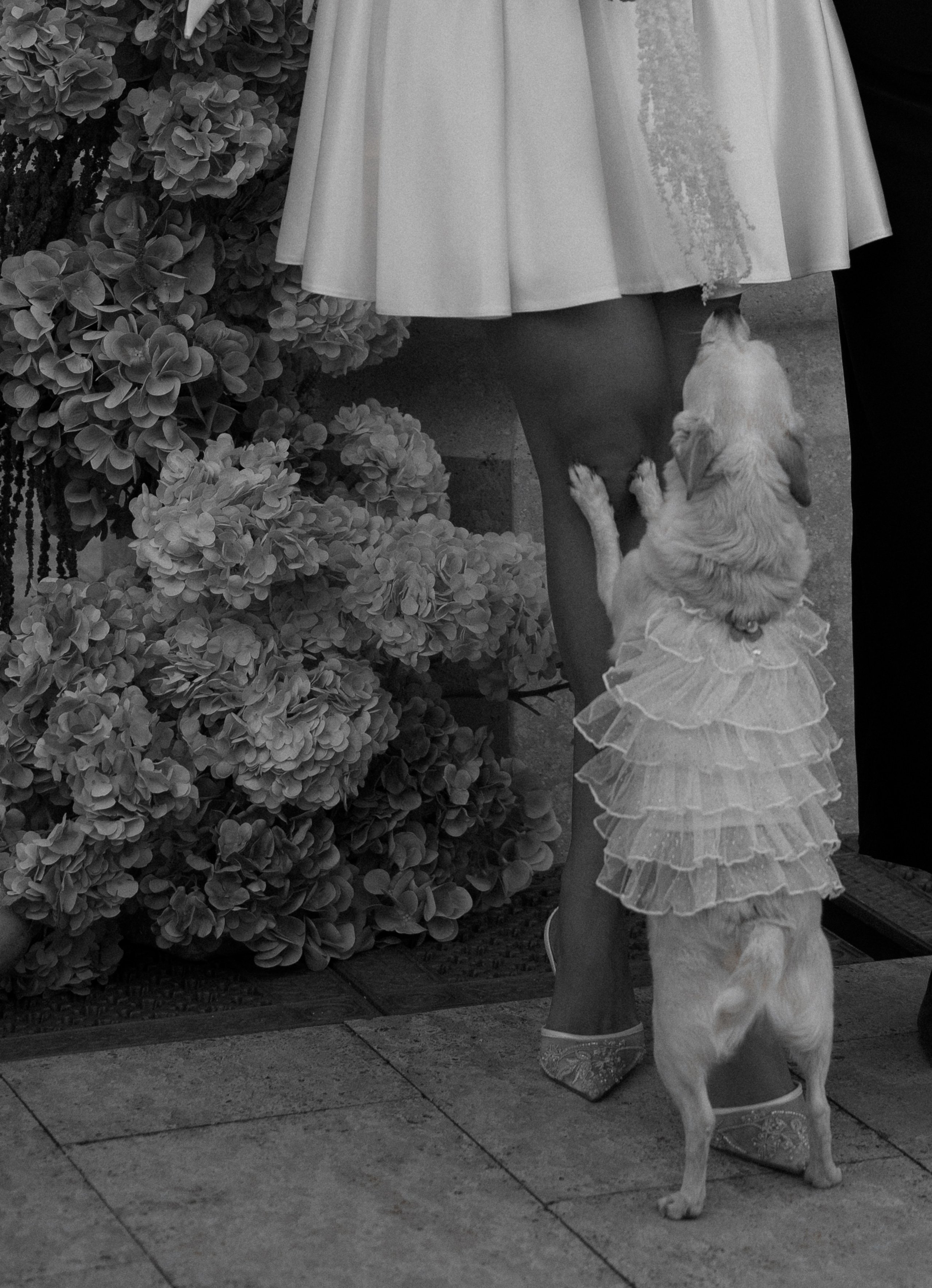 Даня и Юля. Свадебный и семейный фотограф в Анапе Елена Полетаева