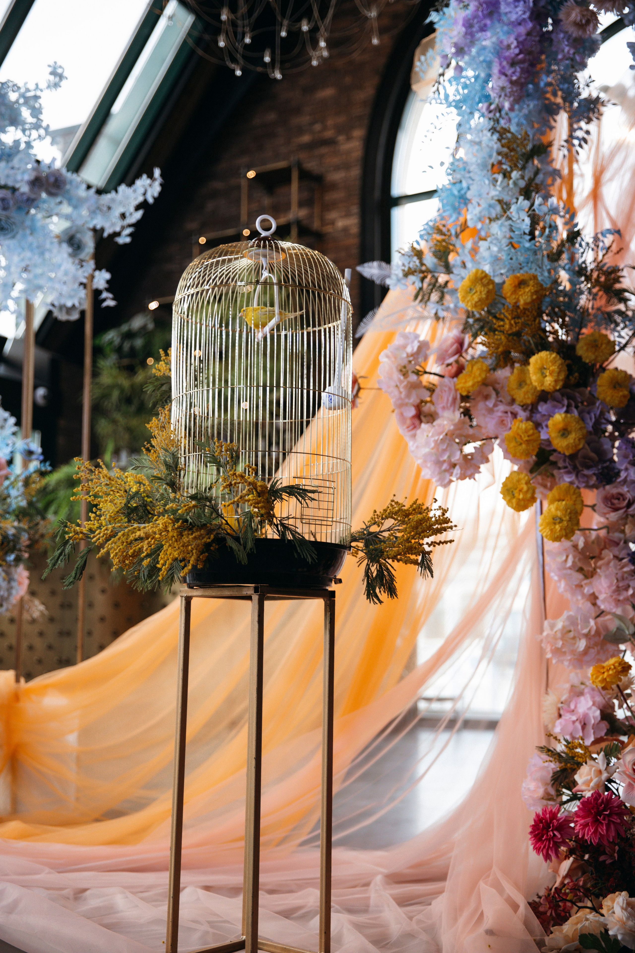 София и Лука. Nikolpinhasova