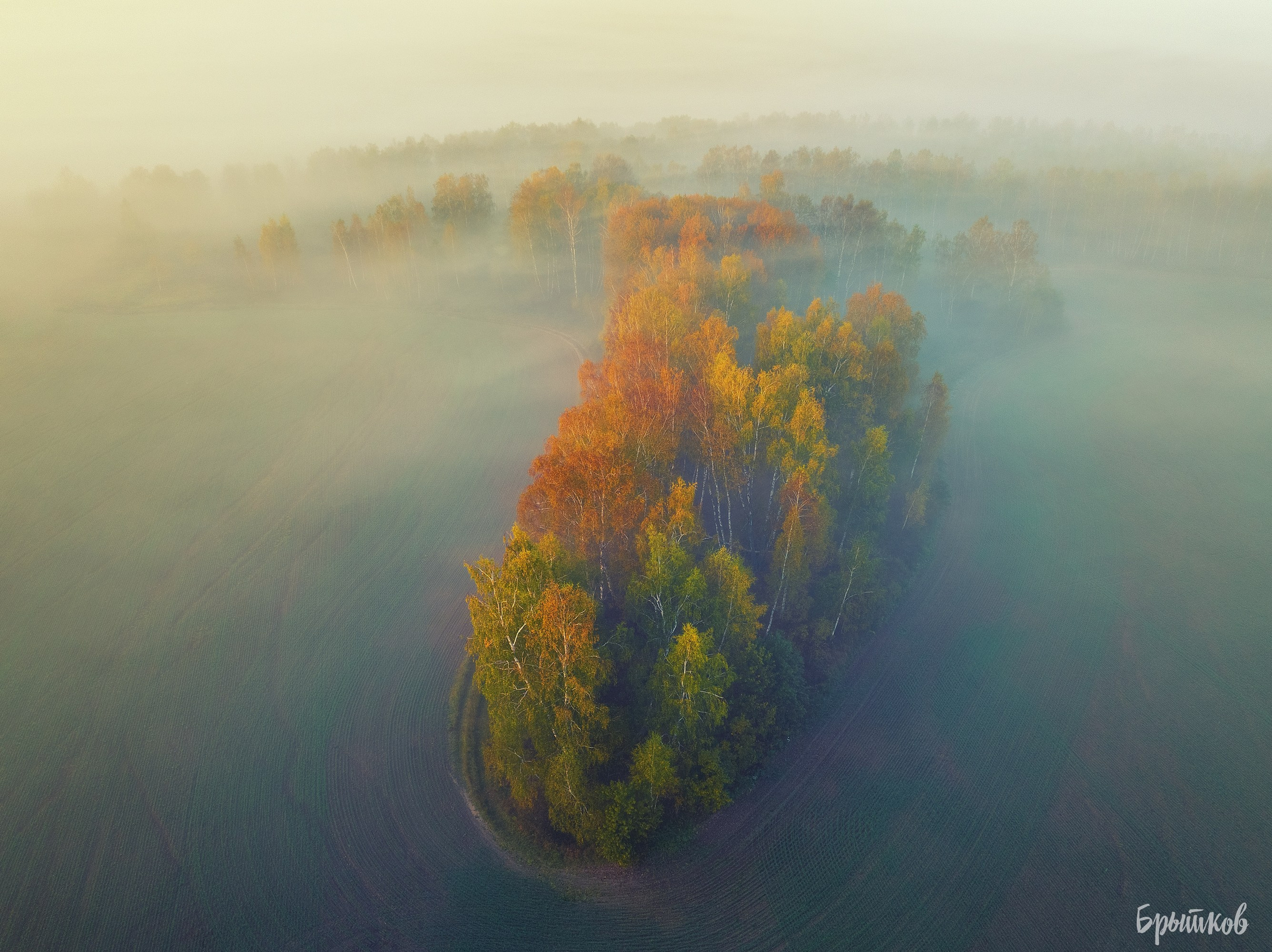 Бежин Луг. Николай Брытков — фотограф в Туле
