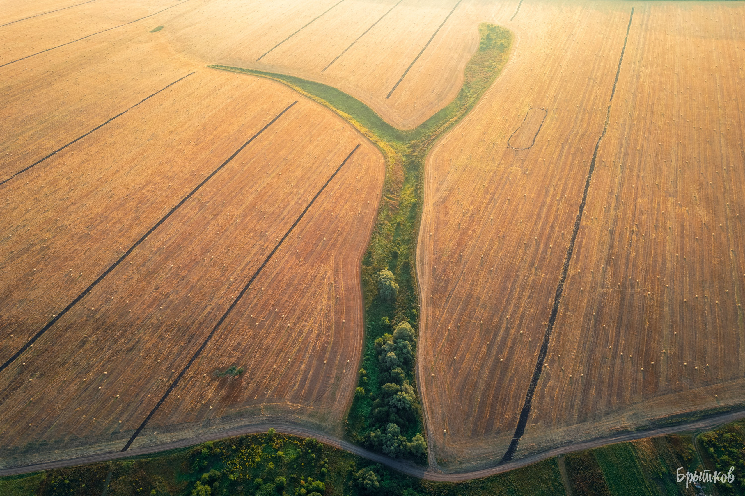 Поля. Сено в кругляшах. Николай Брытков — фотограф в Туле