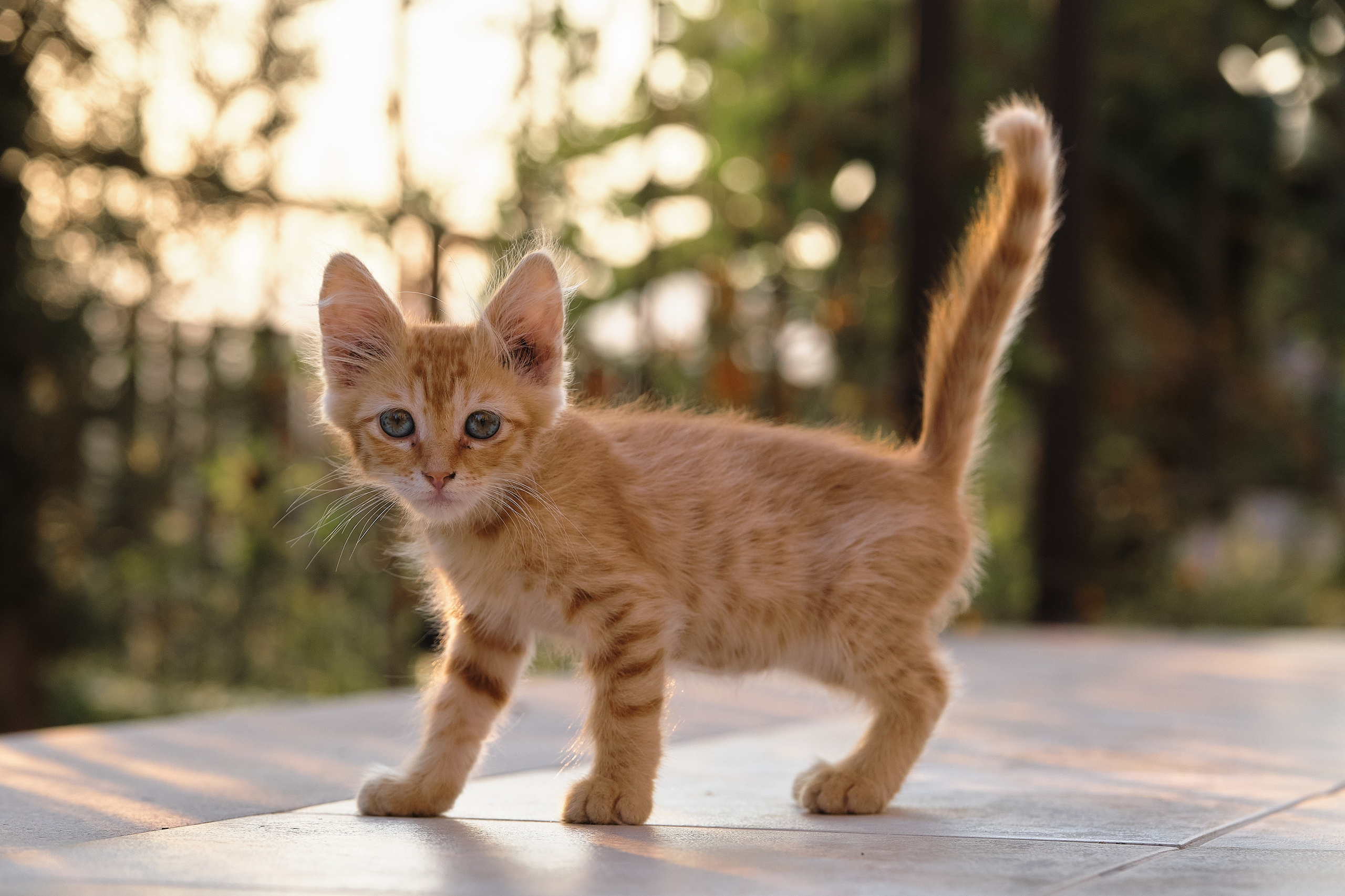 Cyprus > 2023 / kat. Aleksandr Kobtsev