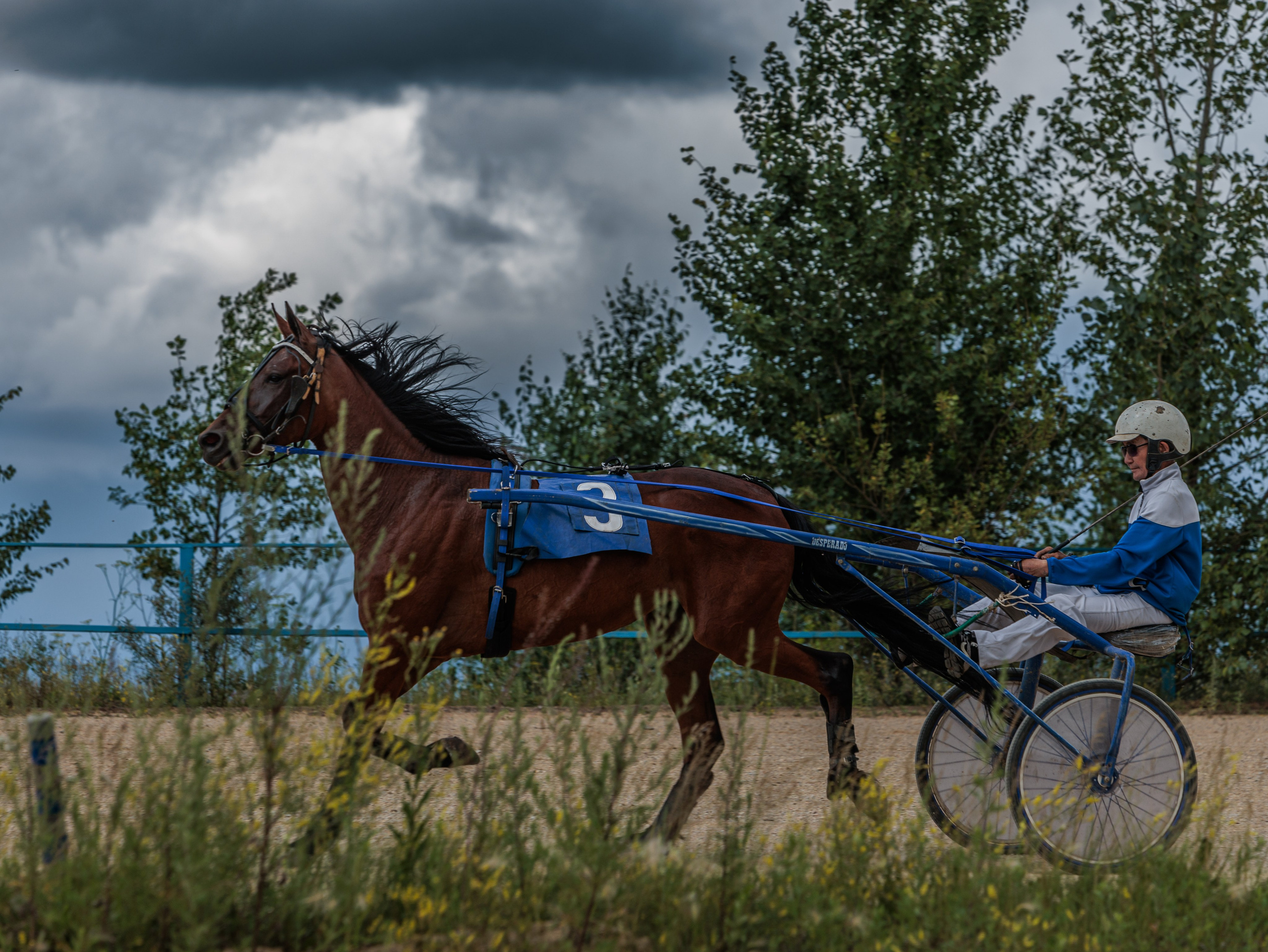 2025. Конный фотограф в Красноярске — Любовь Похабова