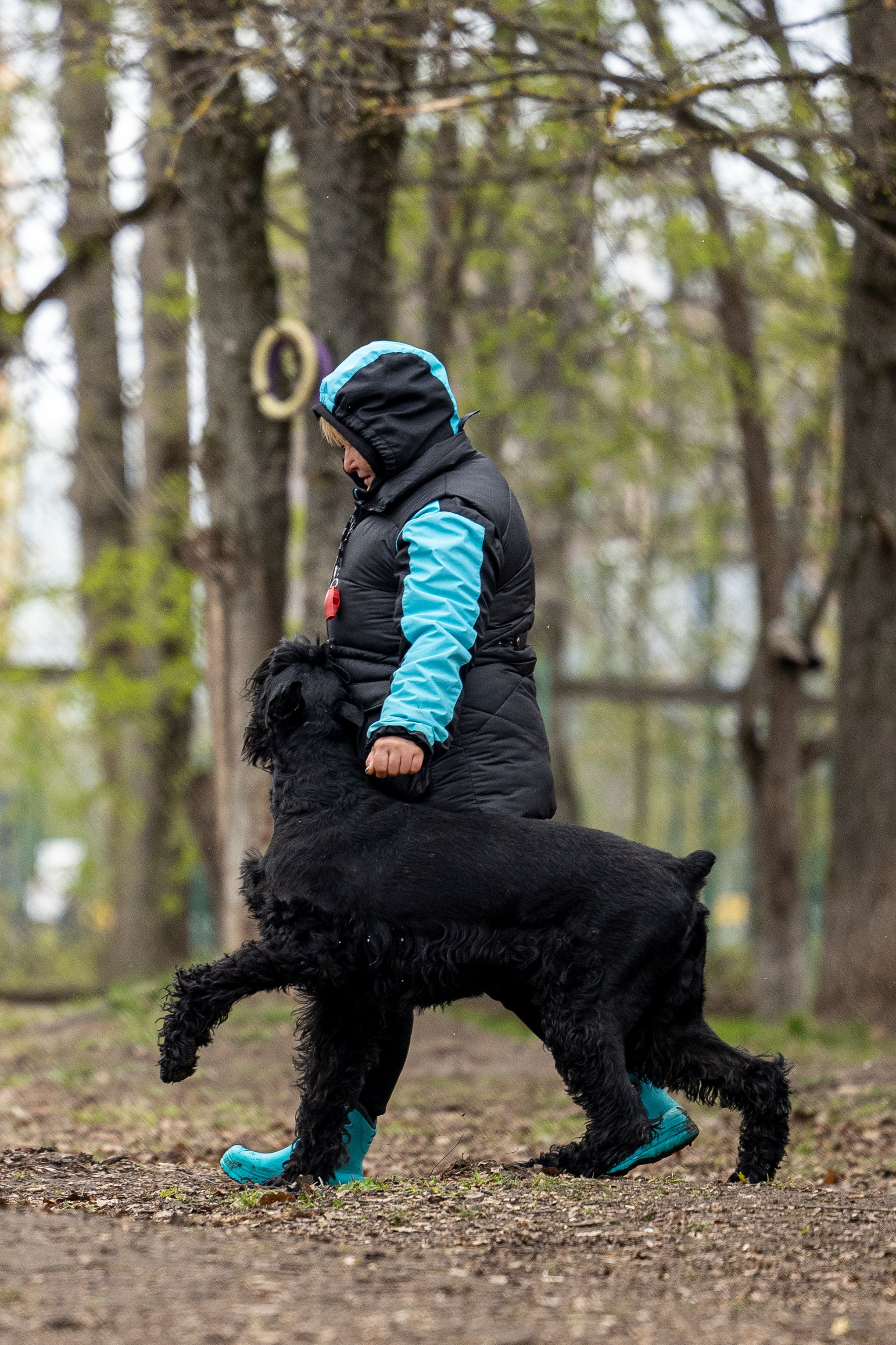 Квалификационные состязания по мондьорингу г. Вологда 11.05.24. Фотограф-анималист Анна Маринич