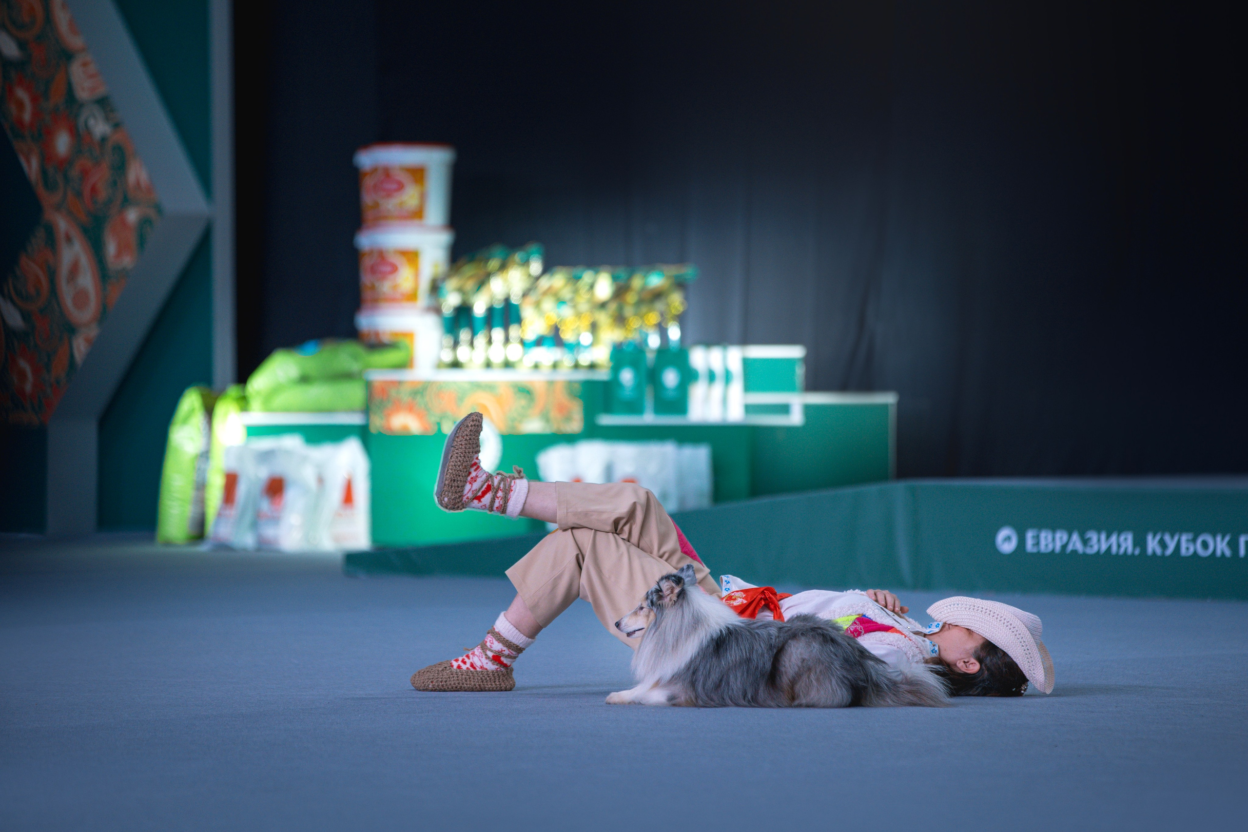 Выставки. Фотограф анималист в Москве Майорова Евгения