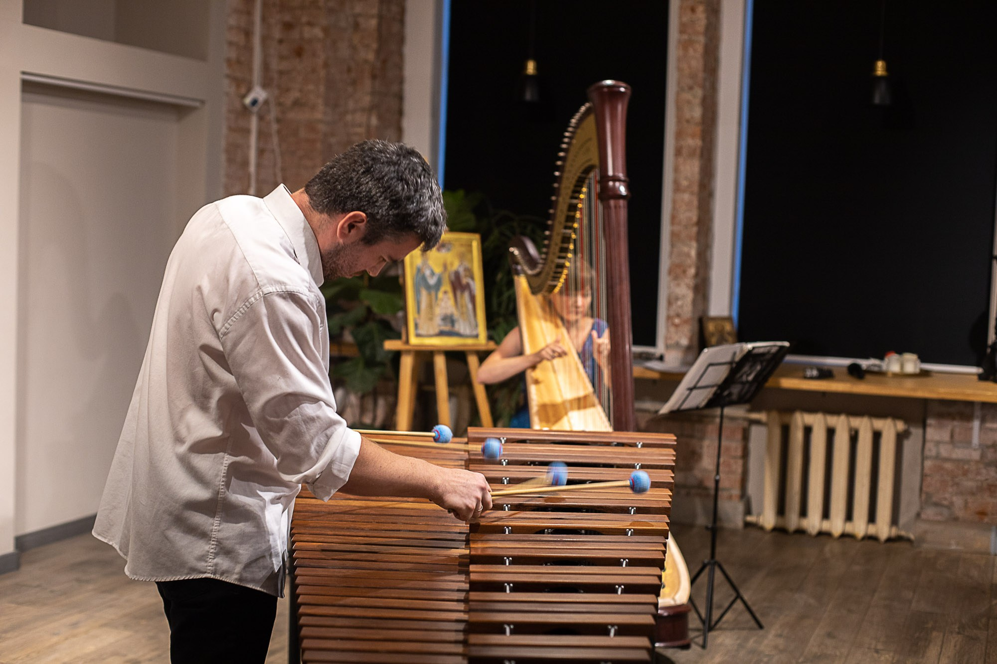 Арфа и маримба. SaGaFOTO.ru