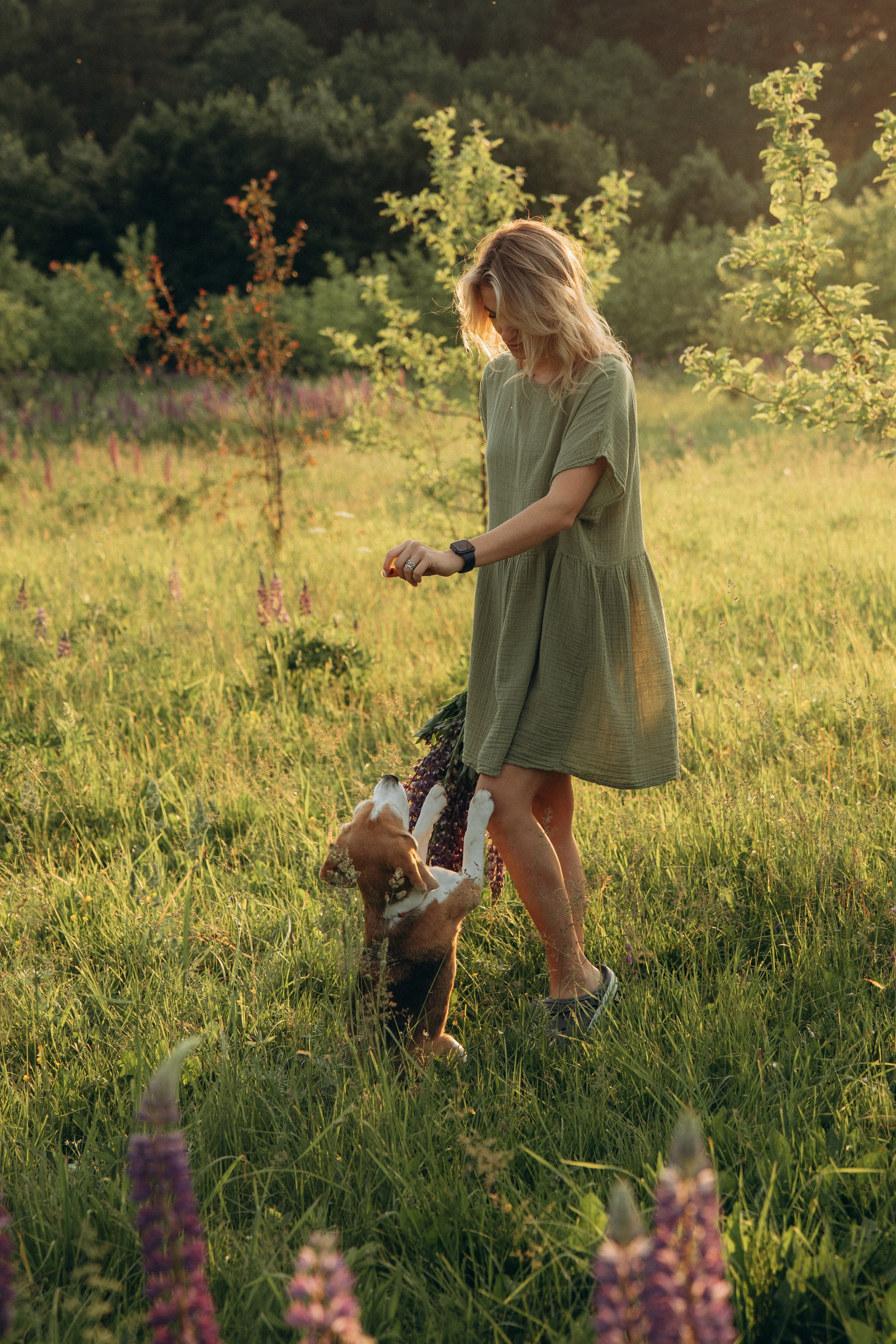 Кристина и Нора. На закате дня. Фотограф анималист в Казани Алина Сулейманова. Фотограф животных