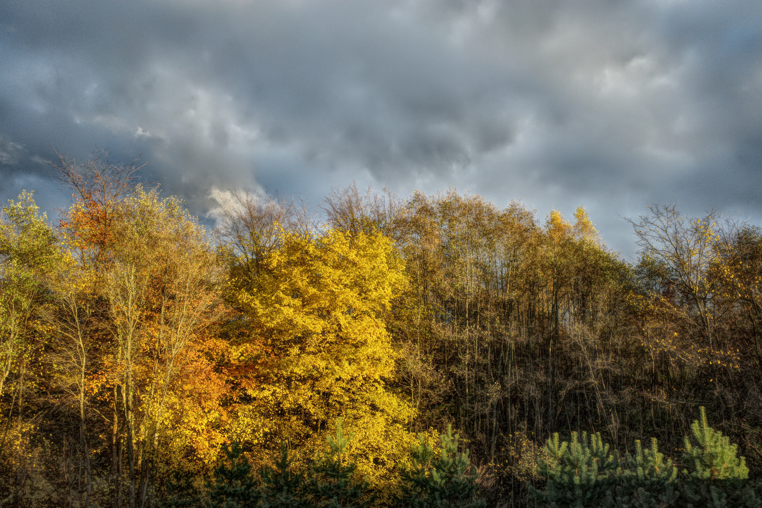 Галерея Ricoh GR3 HDF. Константин Устинов — фотограф