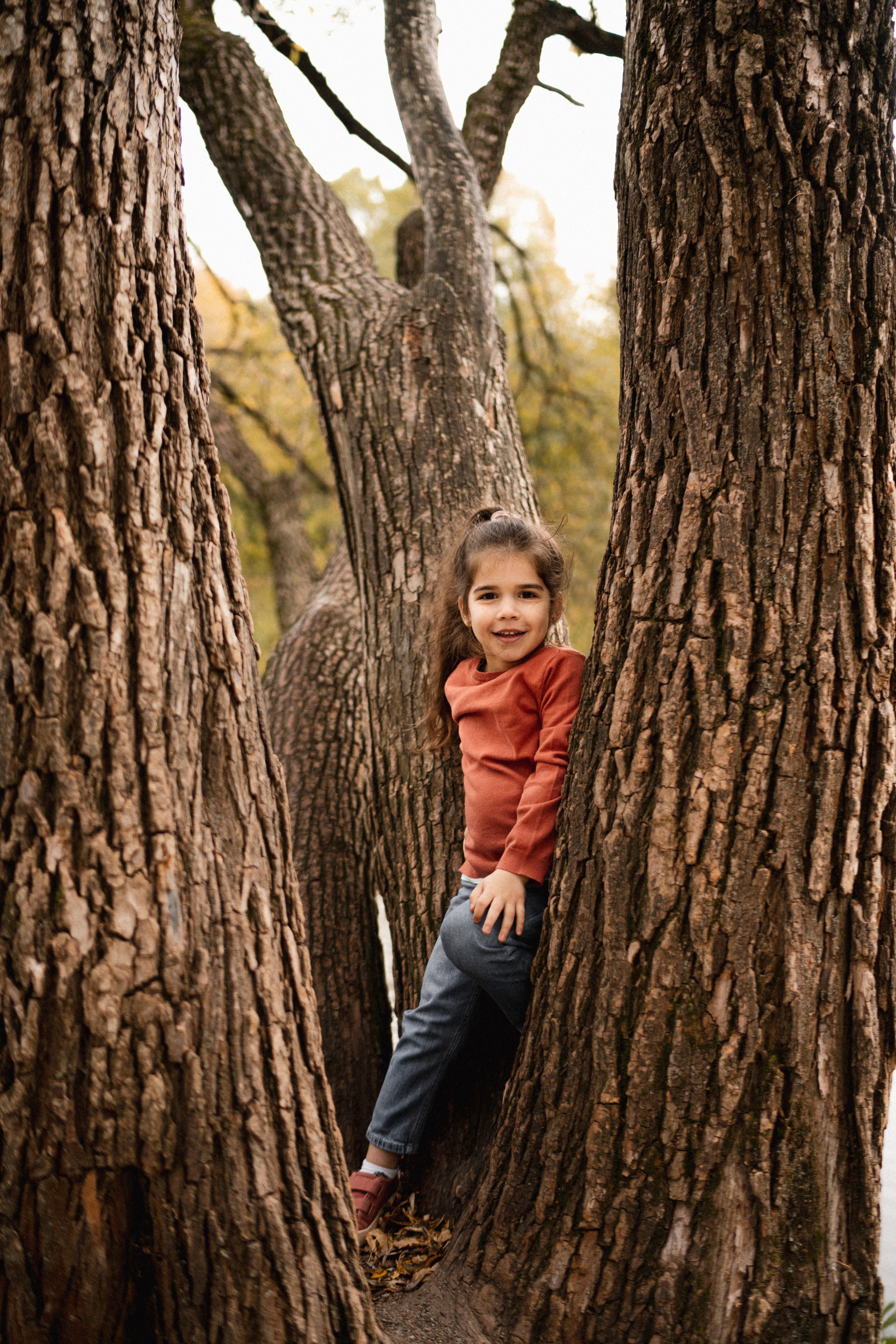 Дерево-брокколи. Фотограф Анна Кобазева, Москва