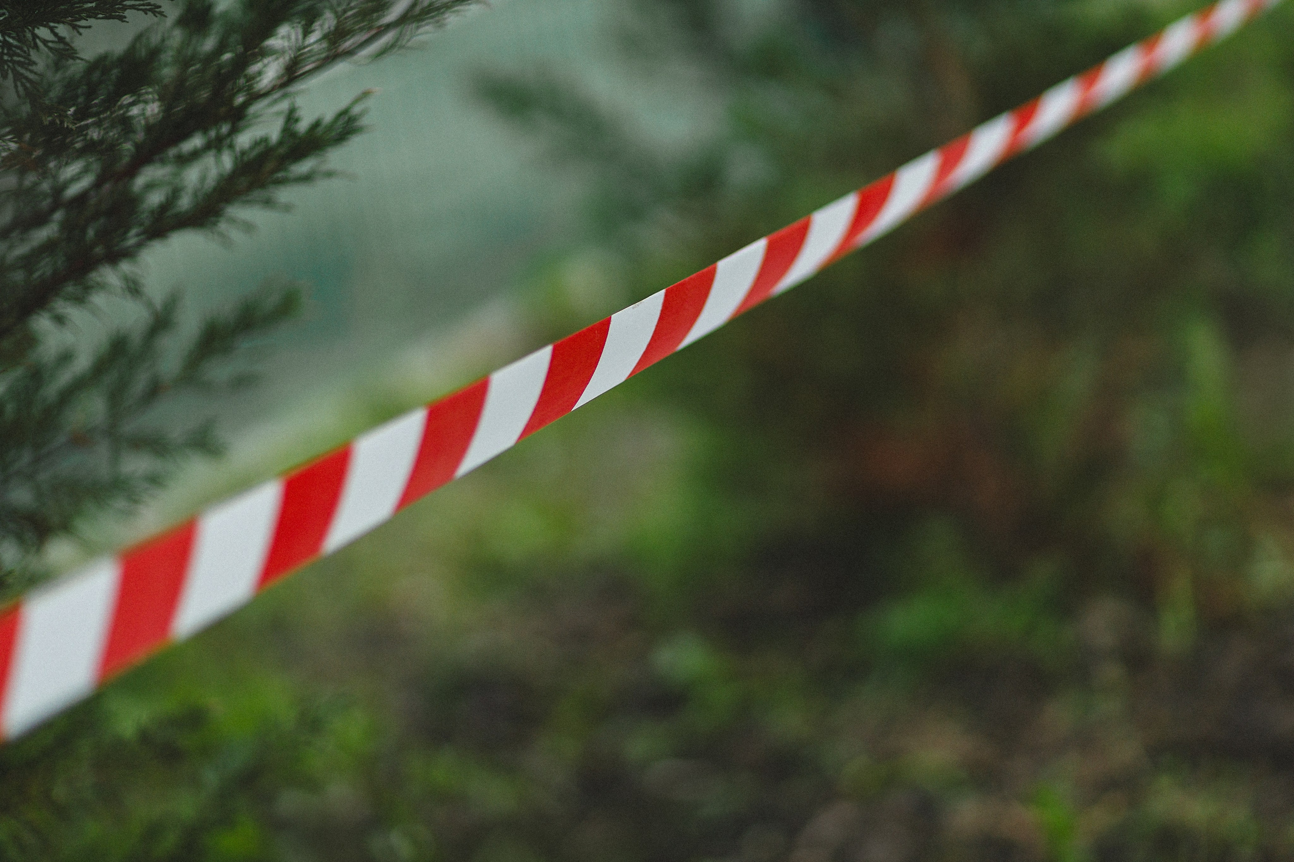 Проект «366»|2024|Фото каждый день. LENA GRACE photographer ||ЛЕНА ГРЭЙС фотограф