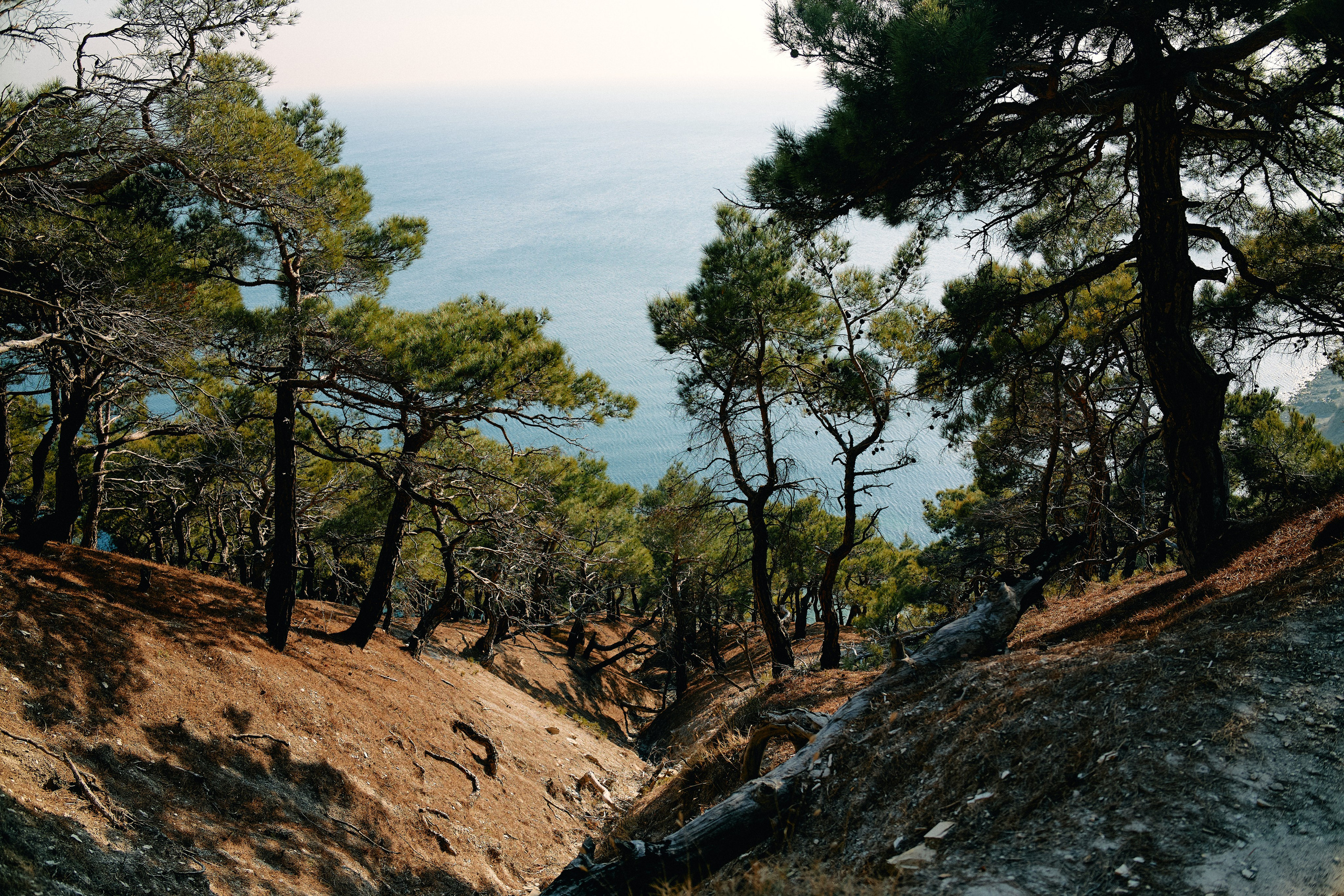 Юг России. Профессиональный Фотограф во Владимире, в Москве и в Суздале — Полина Романычева