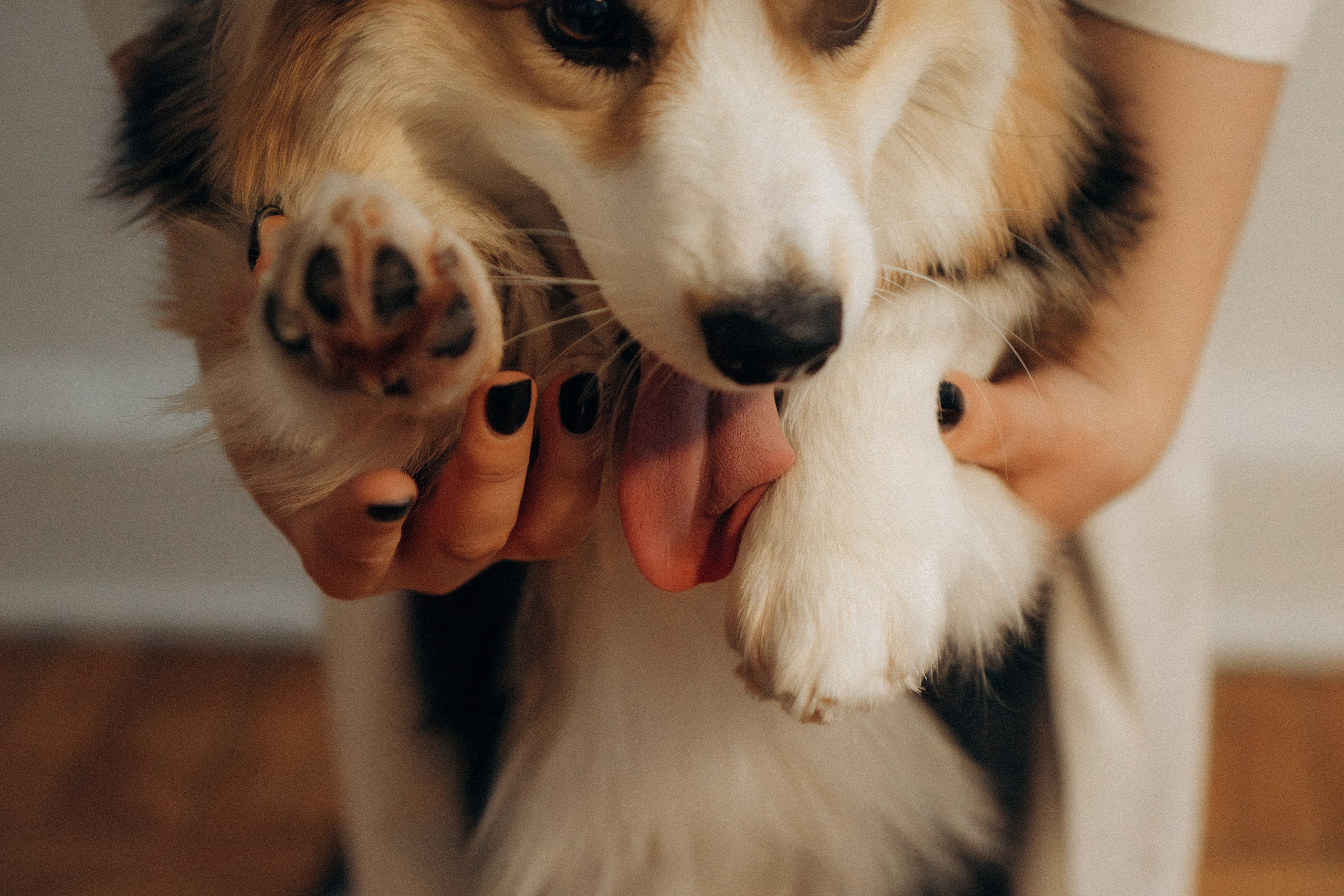 Мишель и Влада. Фотораф — анималист Мария Шистка