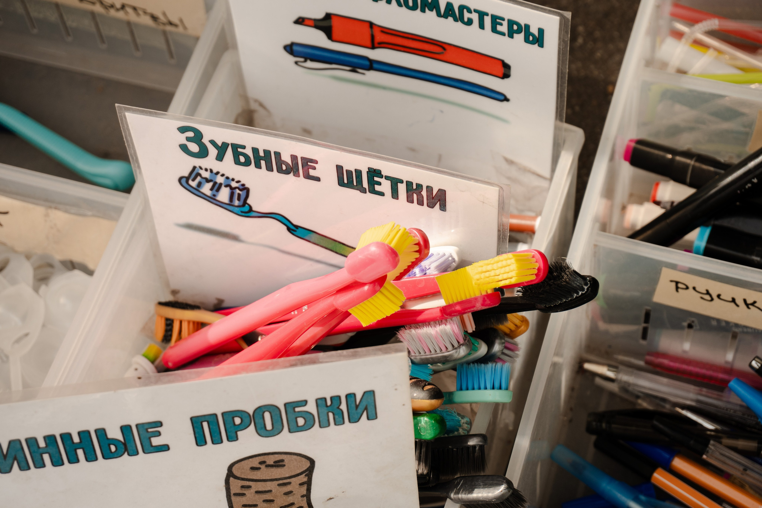 Экологическая акция «Ломоносов разделяет». Фотограф в Москве Лиза Архипова