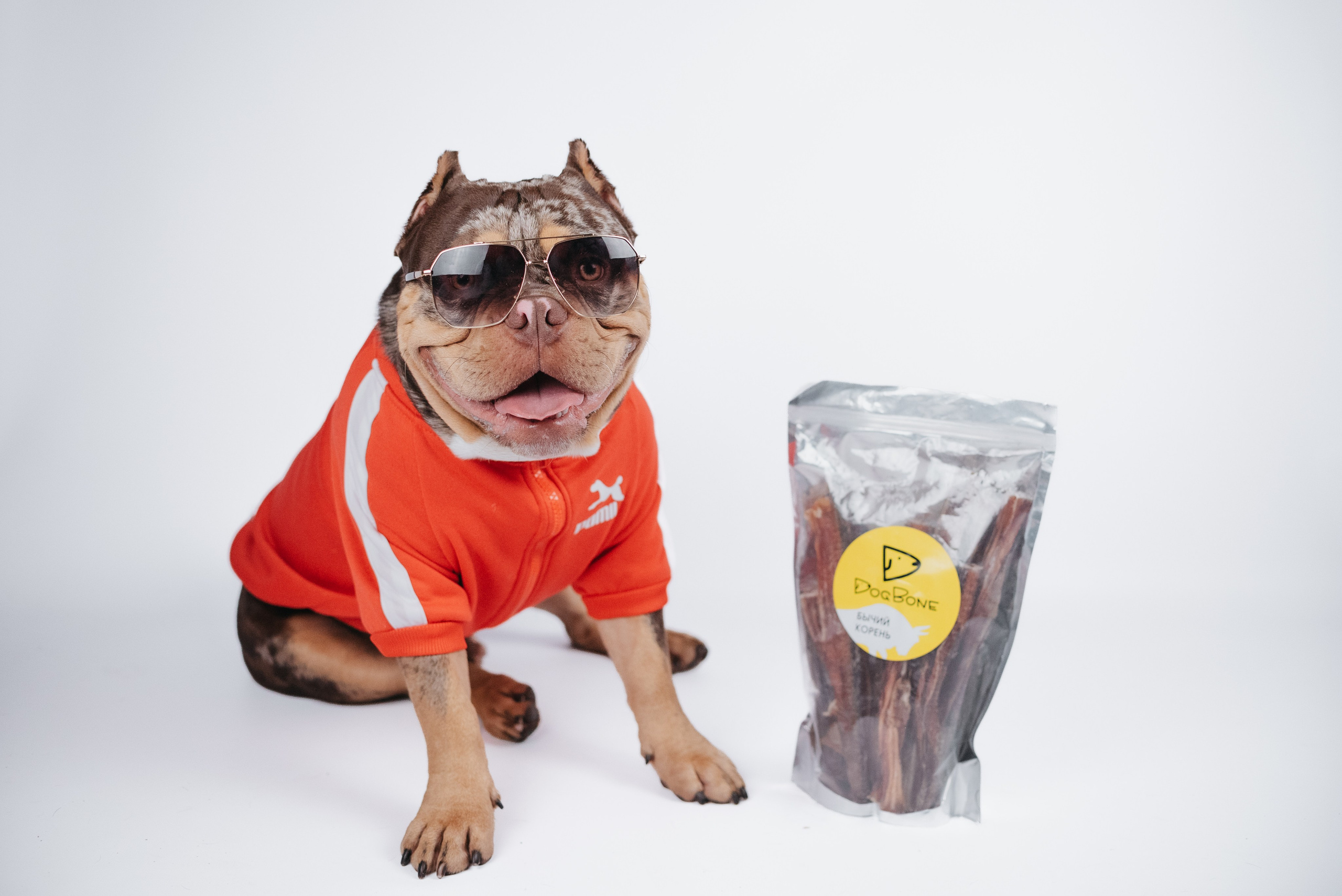 Dog Bone контент. Фотограф-анималист Валерия, Москва, Мытищи