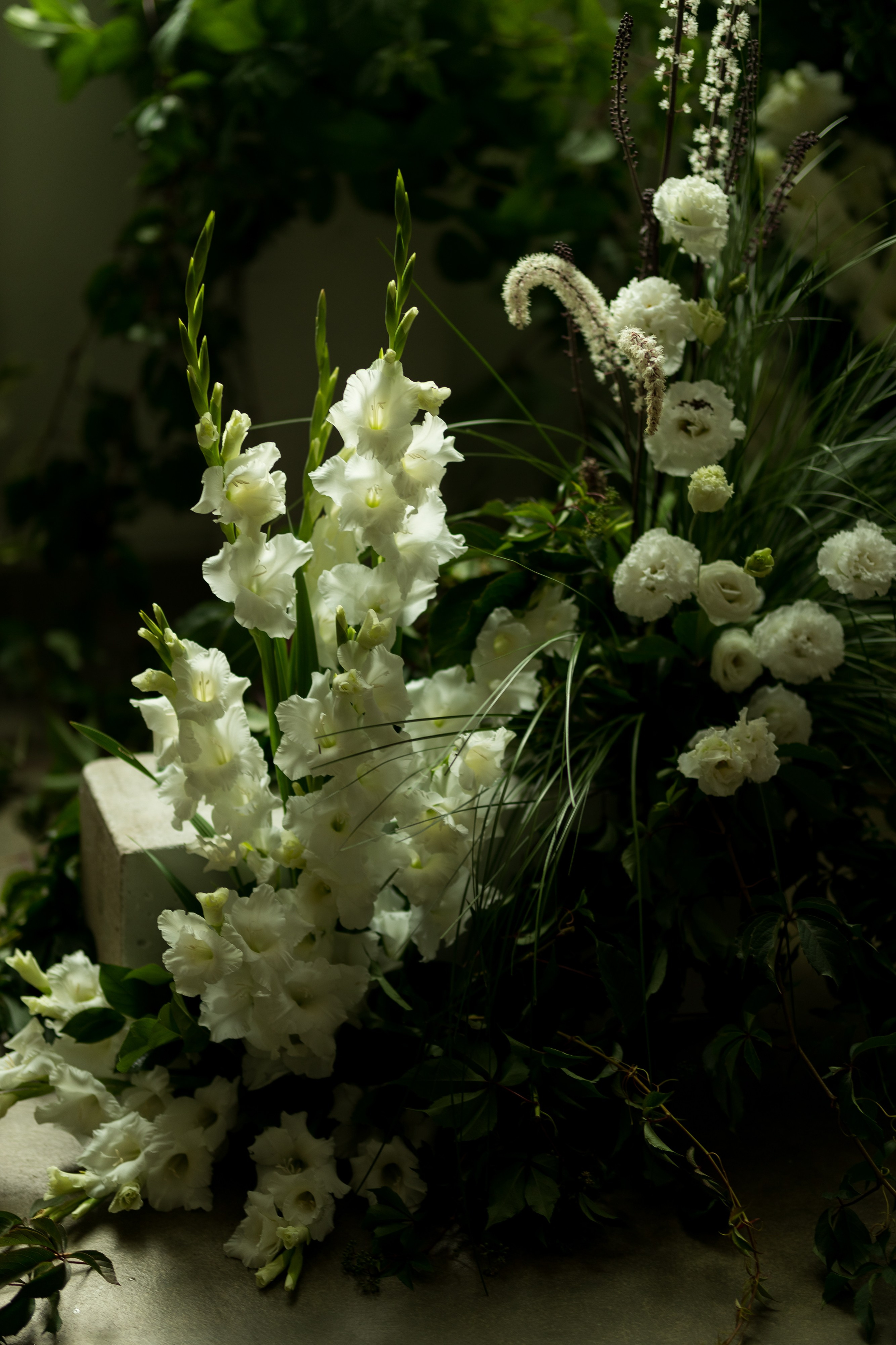 Д&Е. Свадебный фотограф Гомель