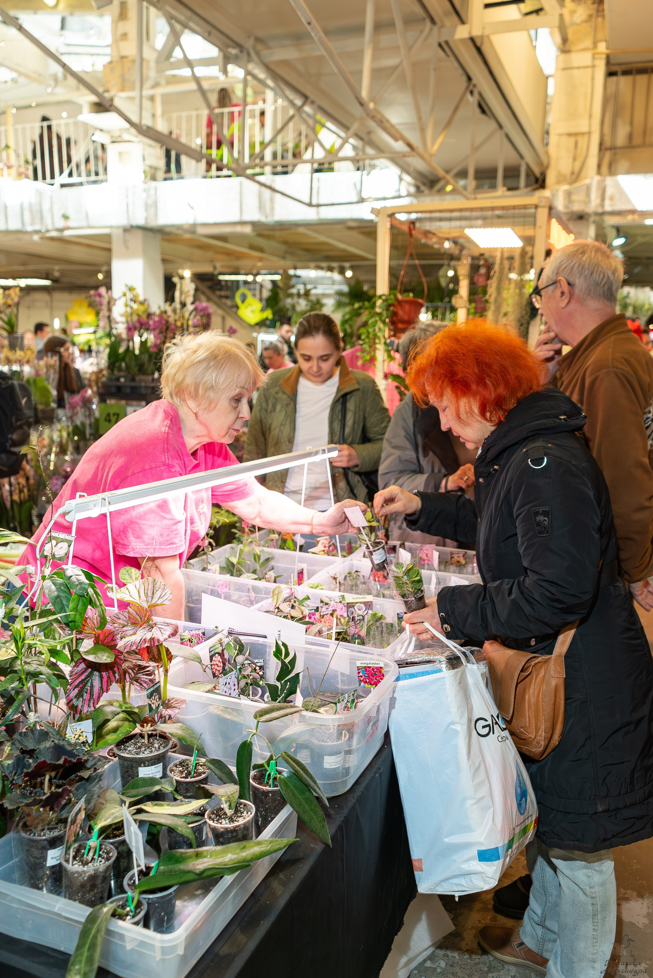 Гроубокс Артплей апрель. Александра Куликова фотограф, Москва