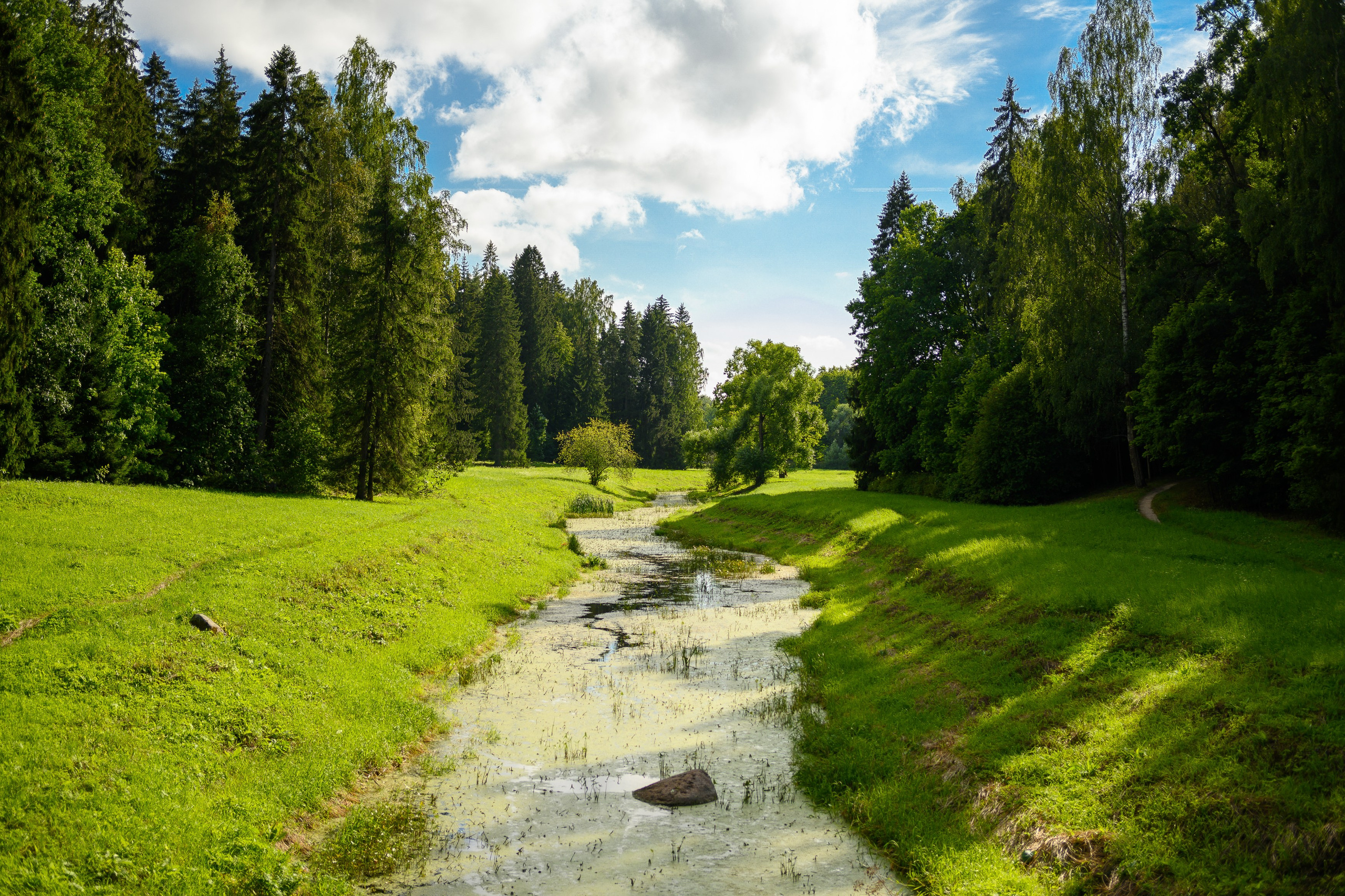 SAINT PETERSBURG | SUBURBS. Personal website of photographer Dmitry Raikin