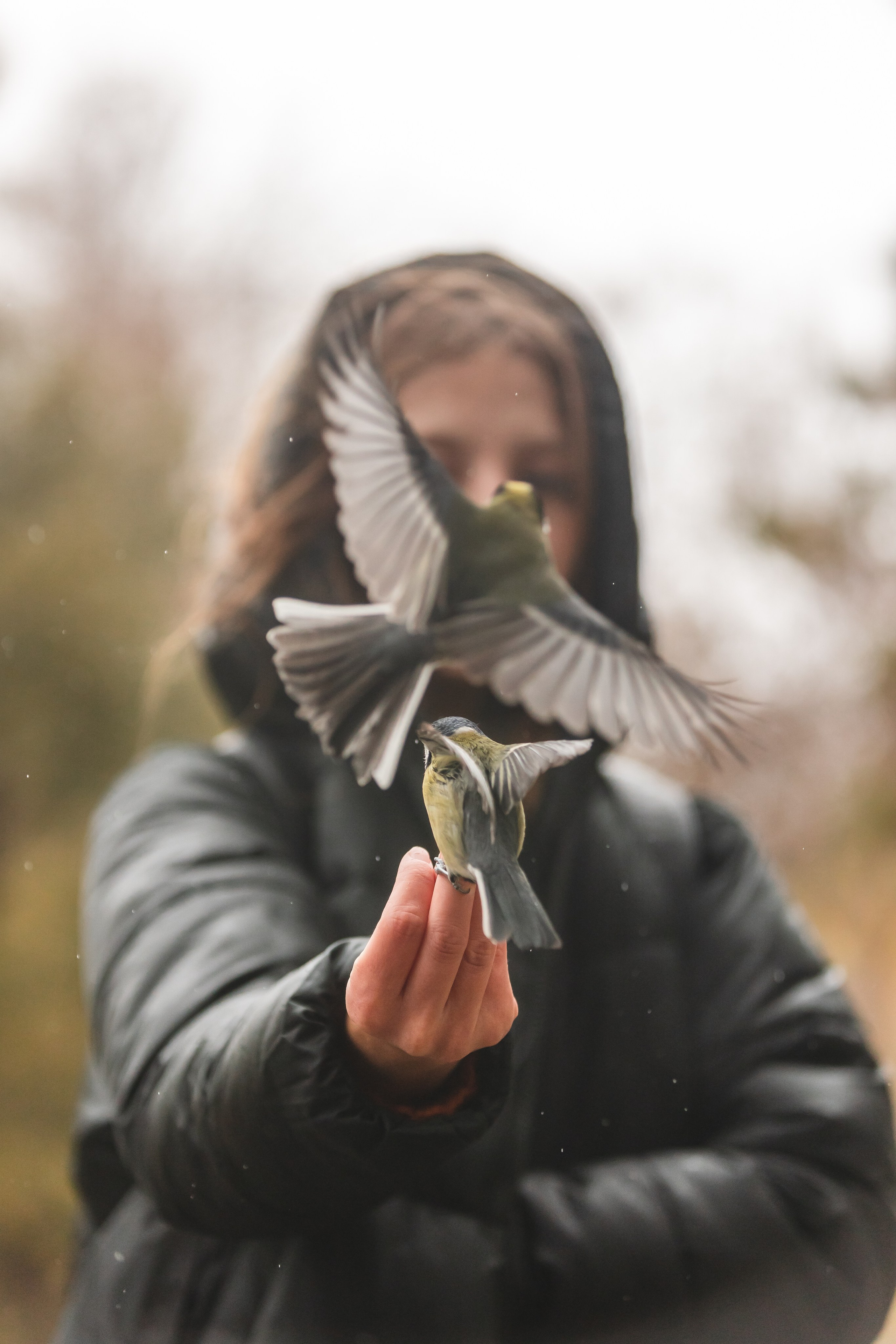 ПРИРОДА. Фотограф Александр Бормотин