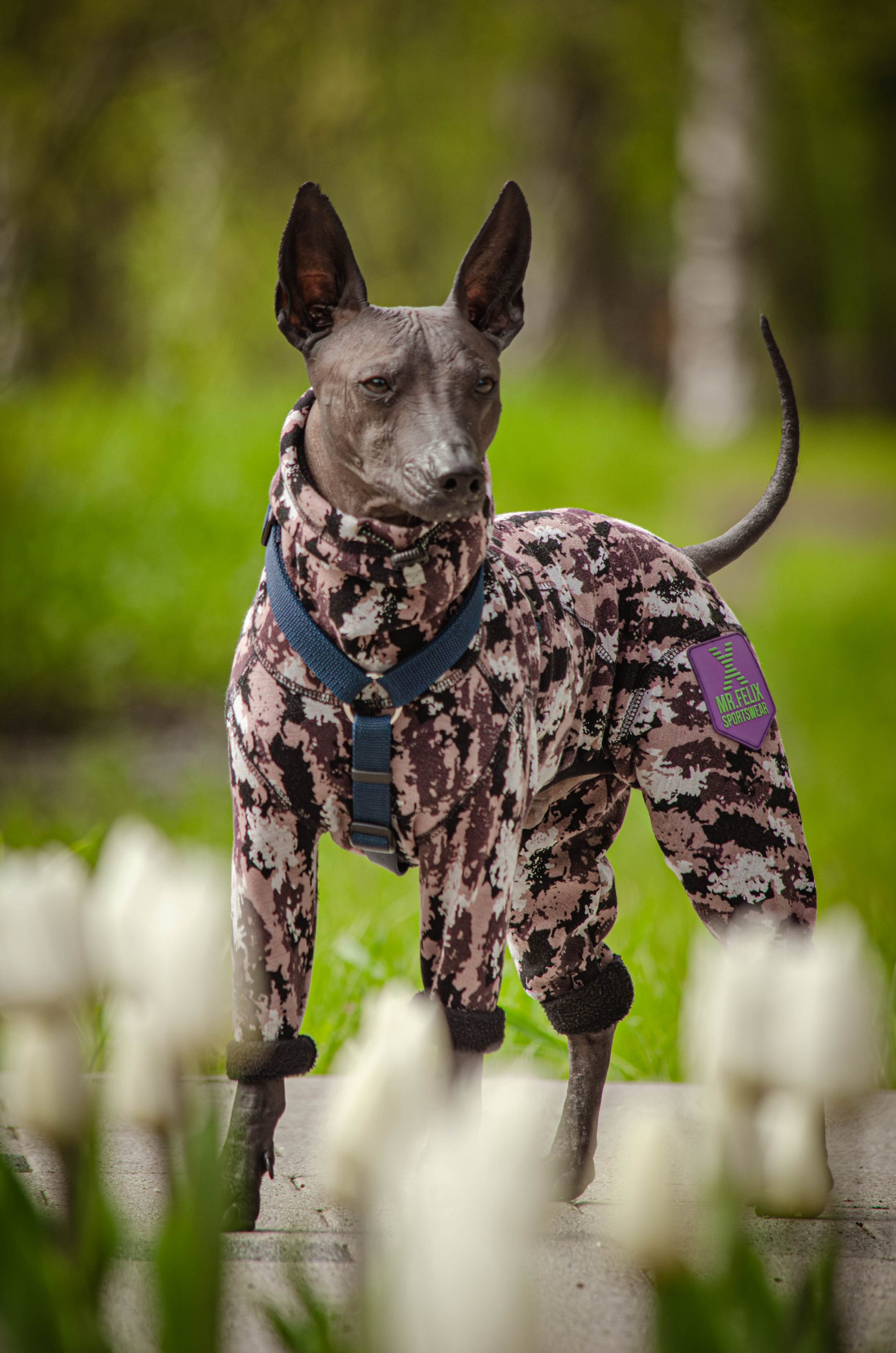 Сёма. Фотограф Светлана Блинова, Москва и Московская область