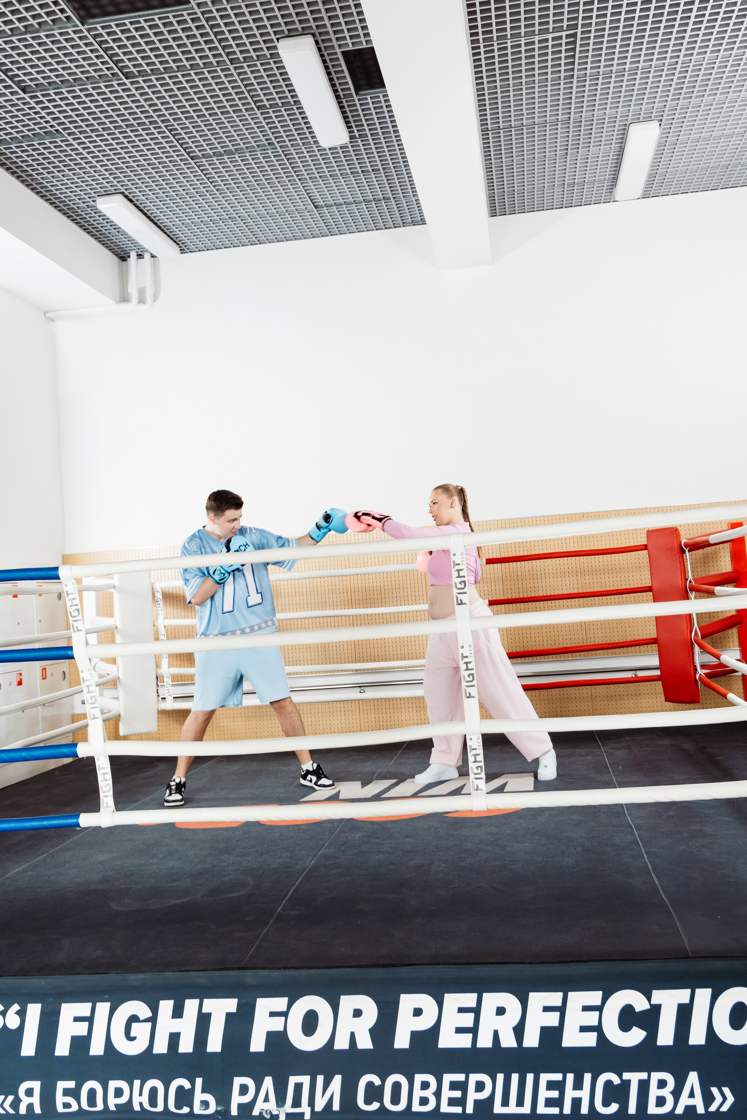 Герберы. Фотограф в Москве Анастасия Курлович